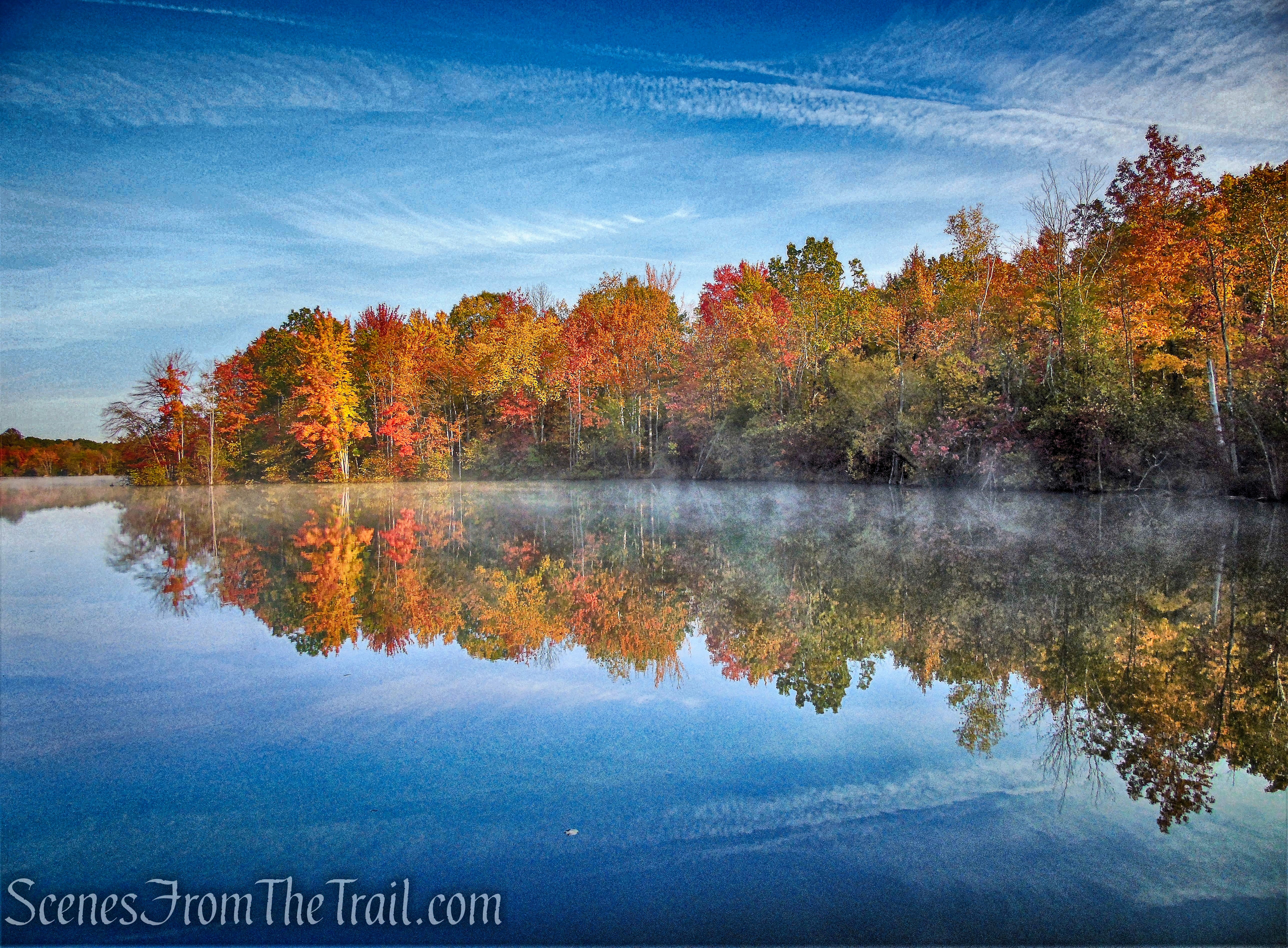 view from shoreline from expanse of basalt rock along the Accessible Trail