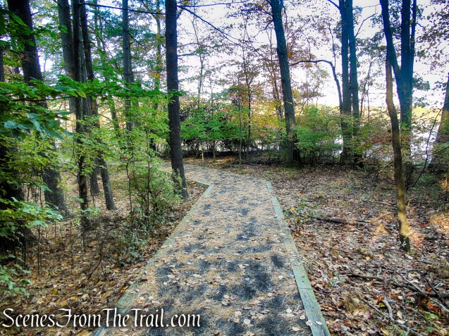Accessible Trail - Franklin Lakes Nature Preserve