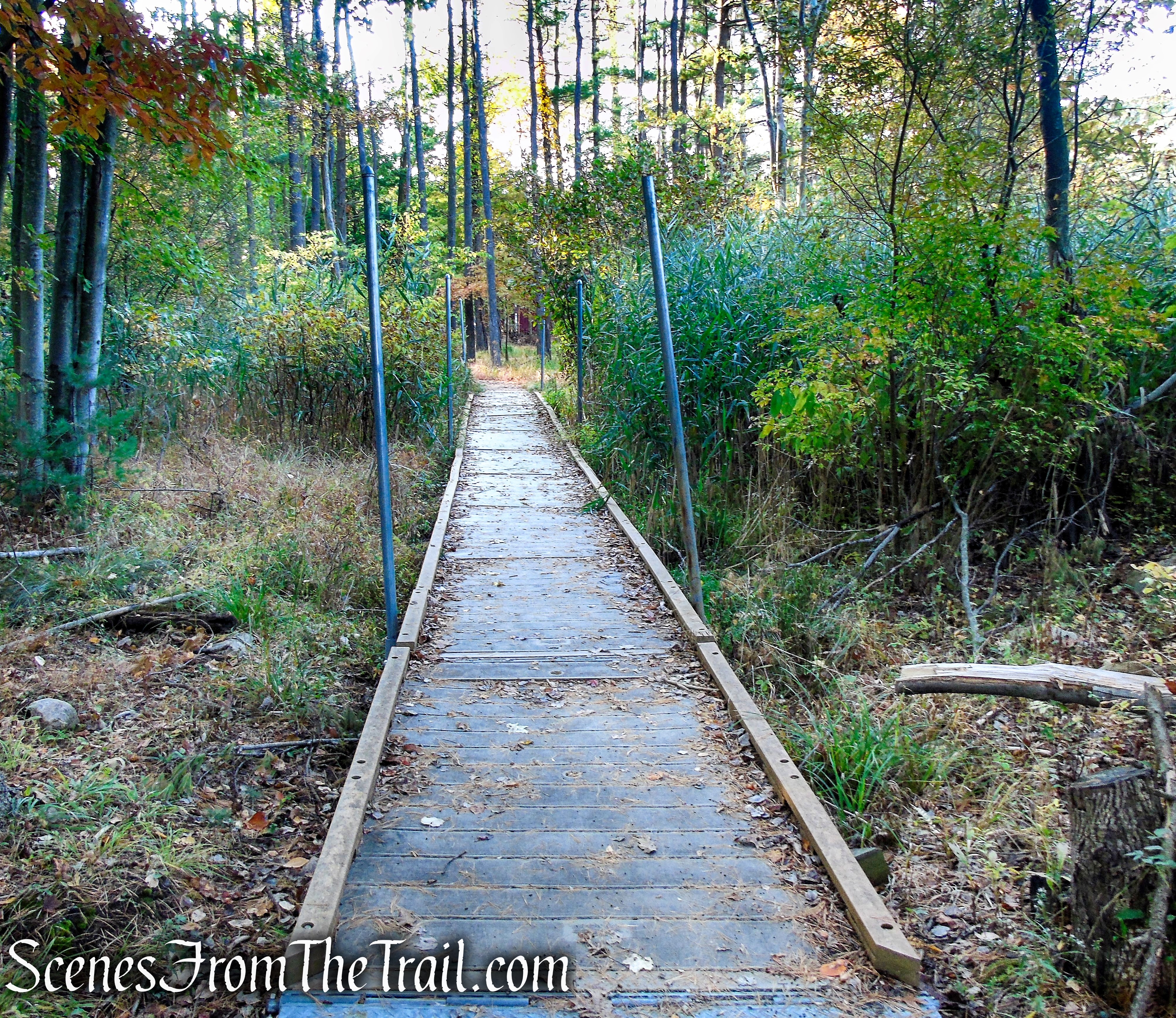 Accessible Trail - Franklin Lakes Nature Preserve