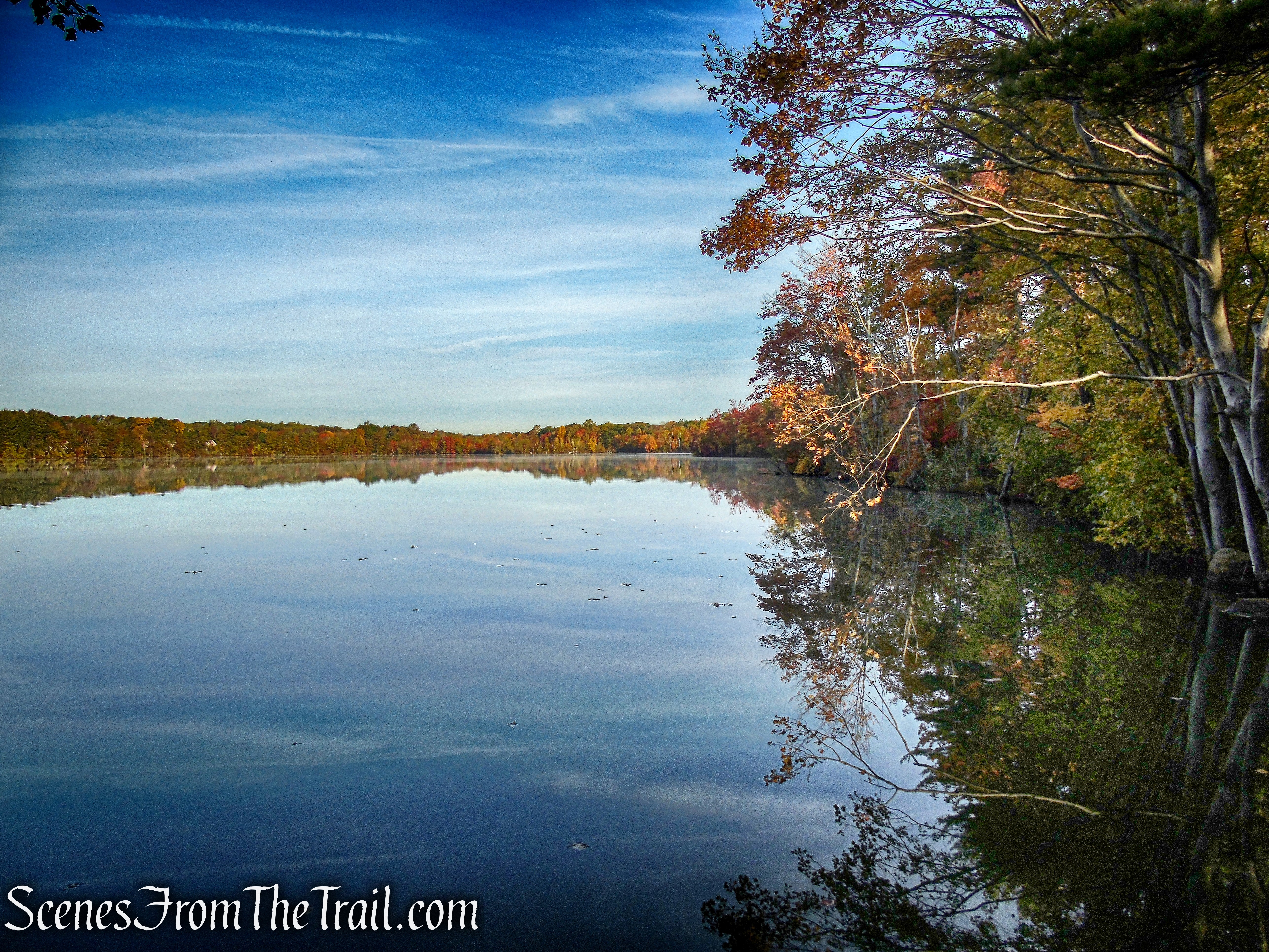 view from Accessible Trail - Franklin Lakes Nature Preserve