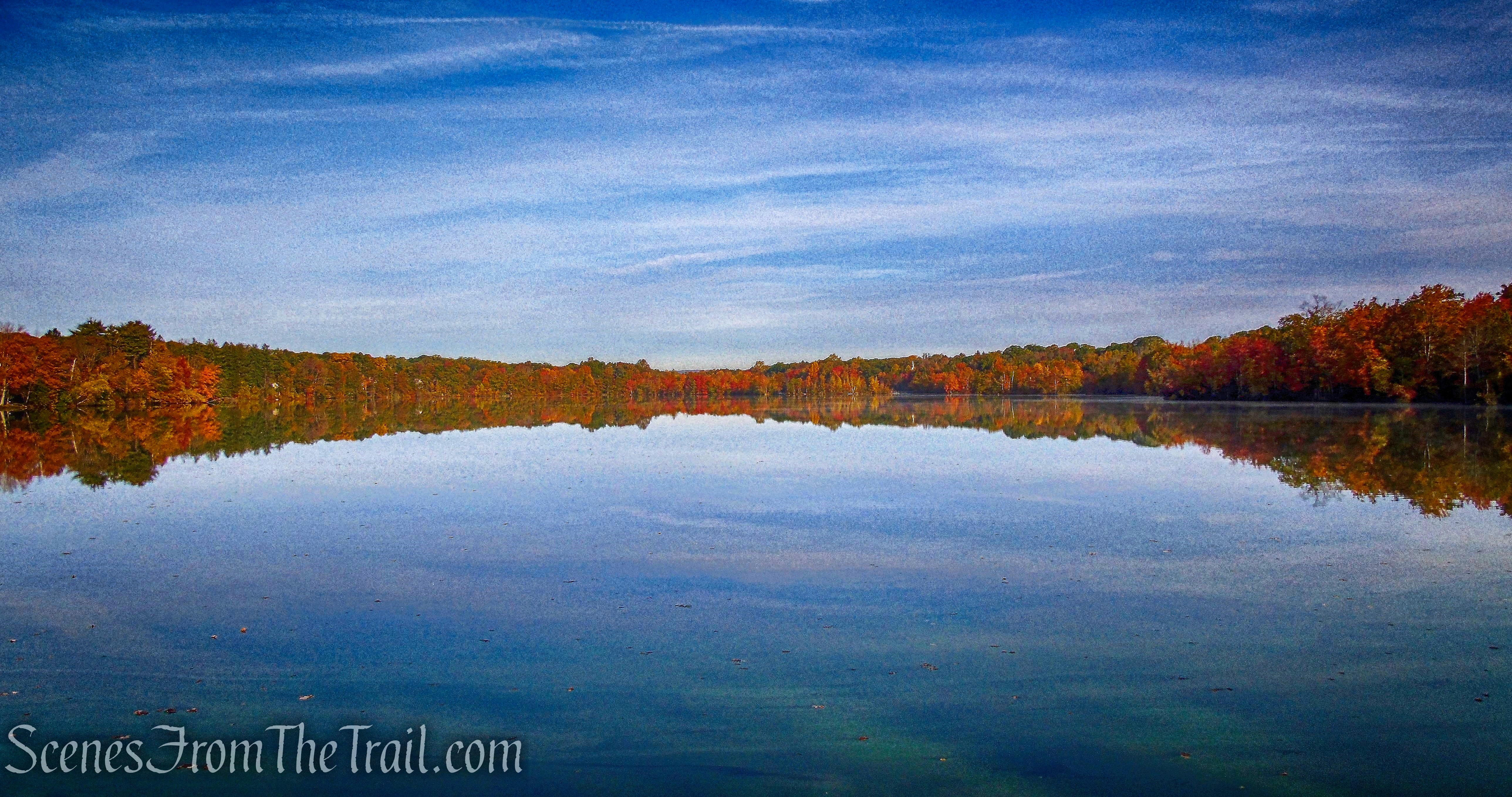 Franklin Lakes Nature Preserve