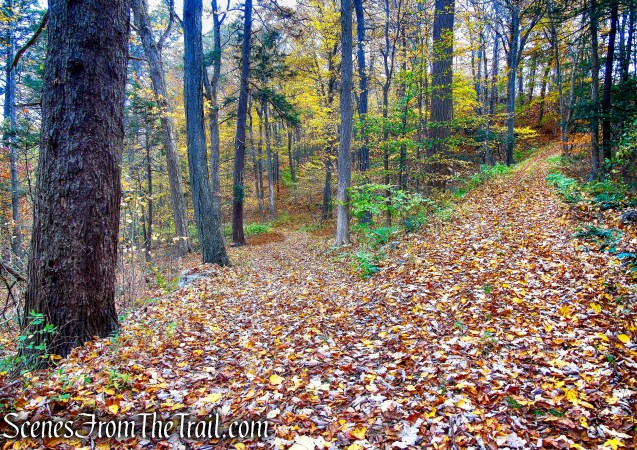 woods road - Fahnestock State Park