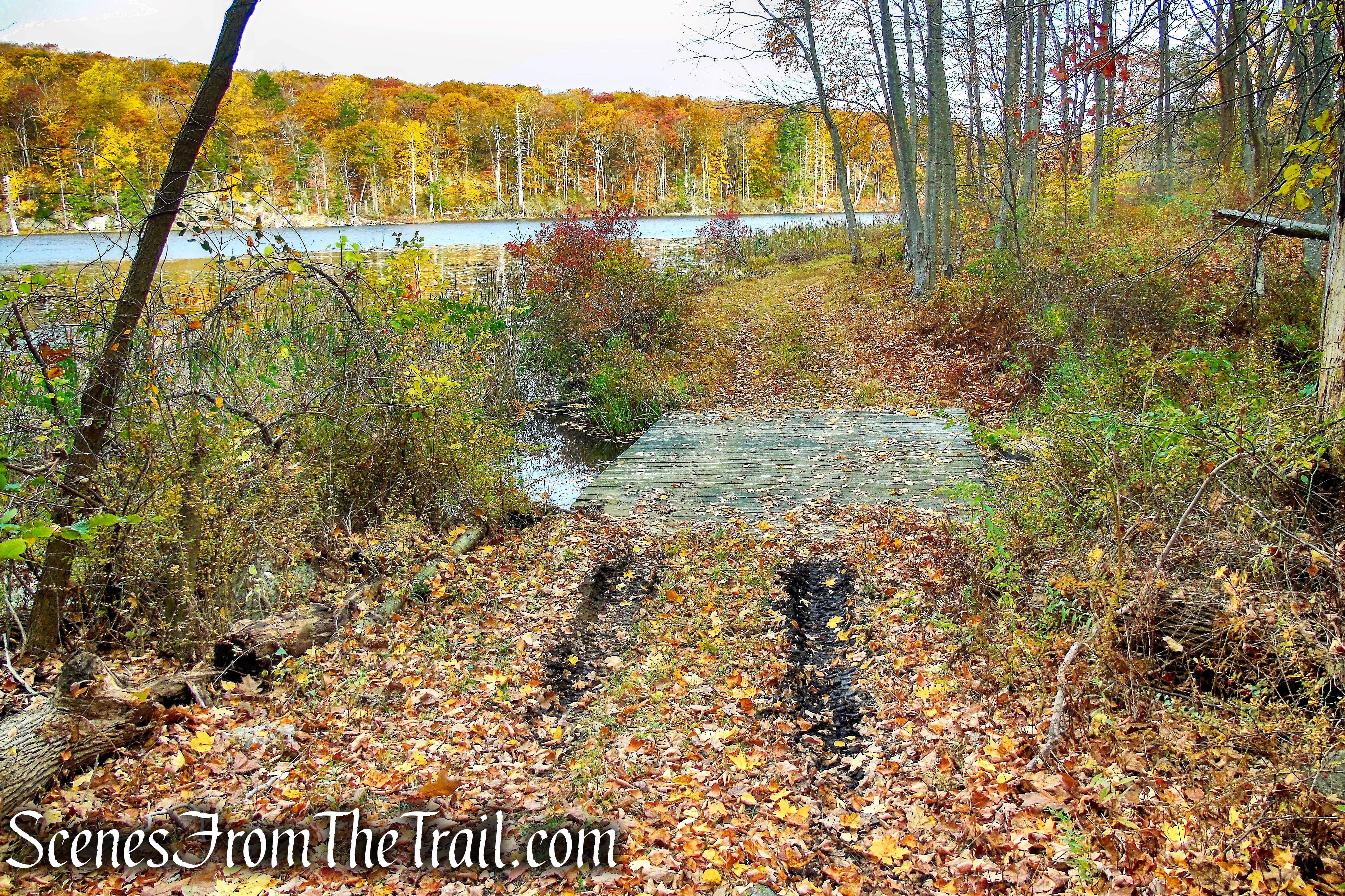 woods road - Fahnestock State Park