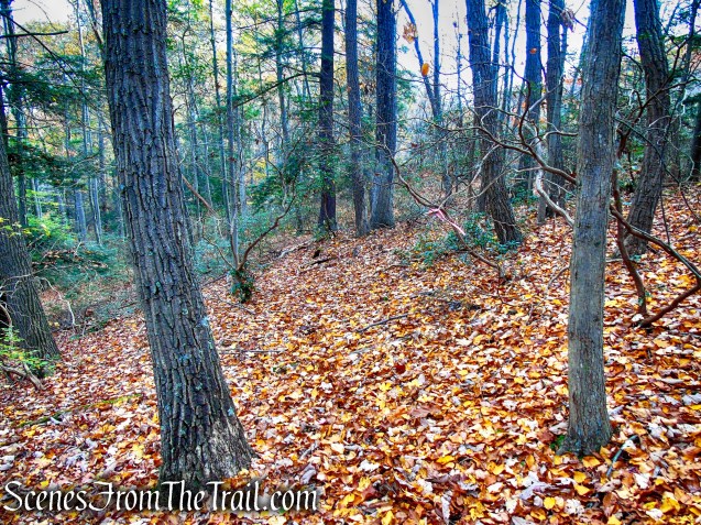 faint footpath - Fahnestock State Park