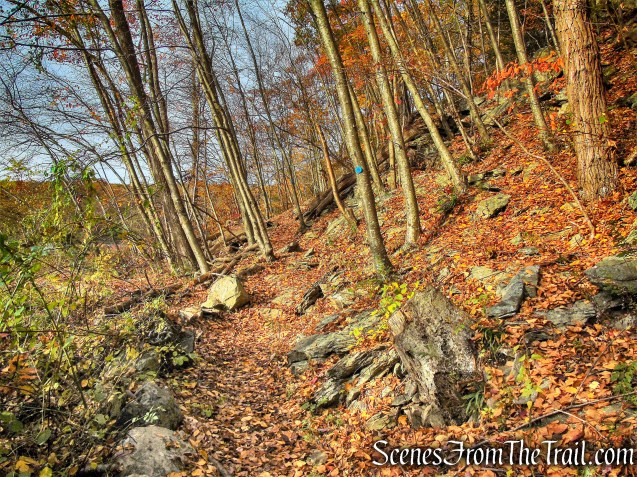 Appalachian Access Trail - Canopus Lake Beach