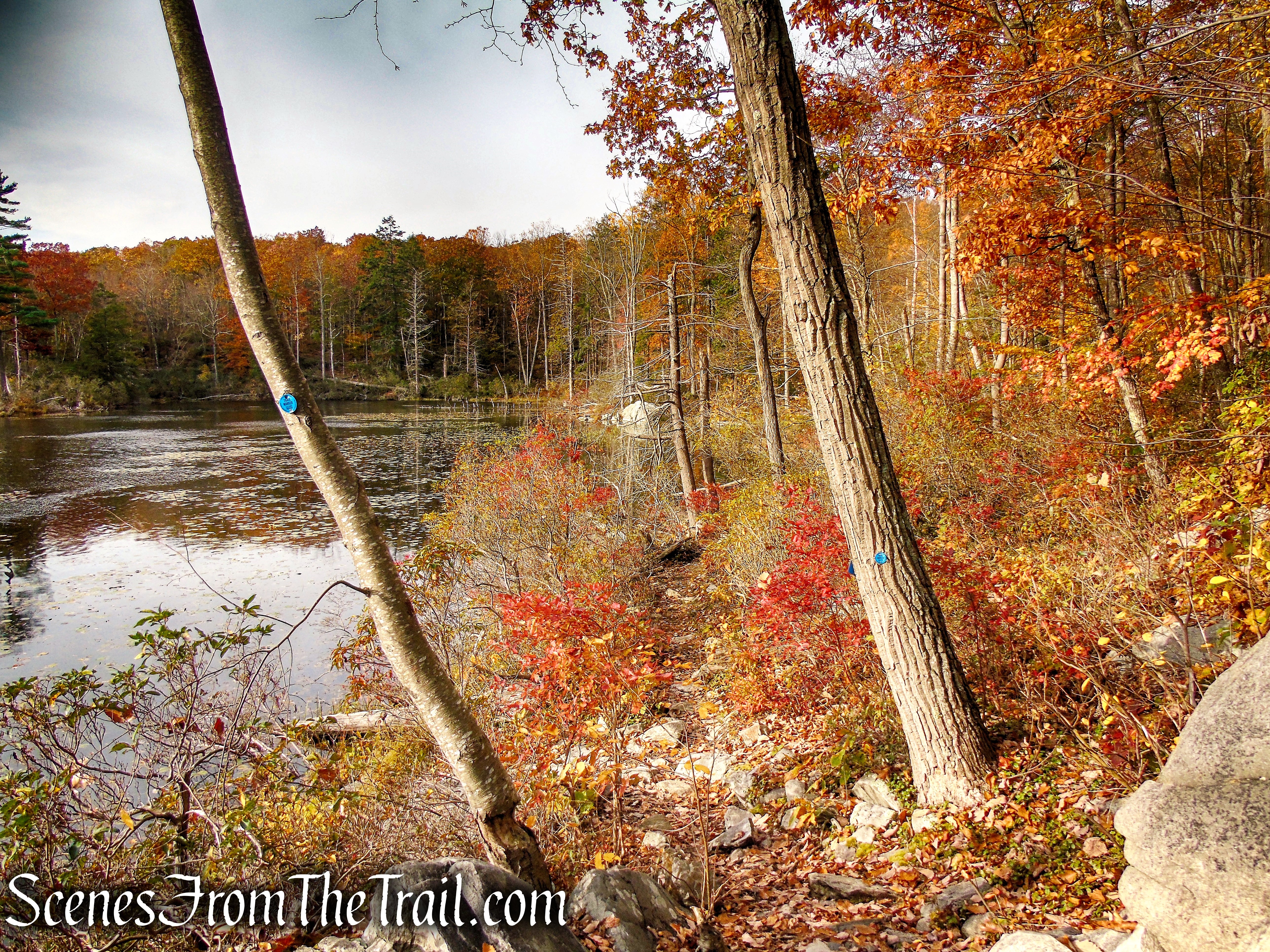 Appalachian Access Trail - Canopus Lake Beach