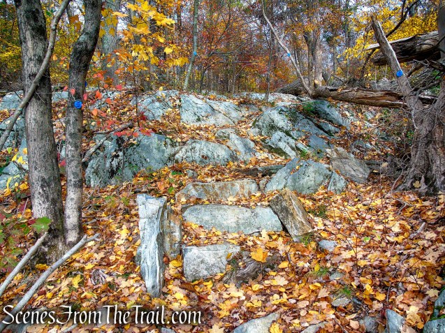Appalachian Access Trail - Canopus Lake Beach
