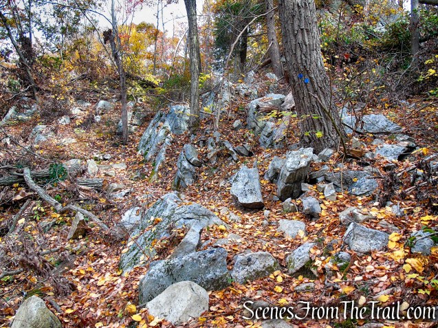 Appalachian Access Trail - Canopus Lake Beach