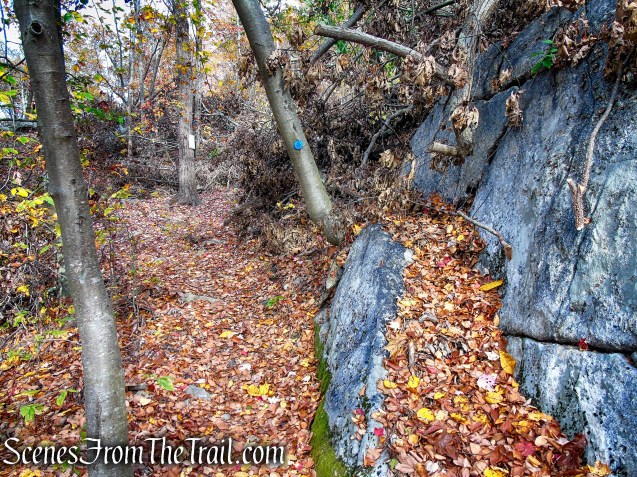 Appalachian Access Trail - Canopus Lake Beach
