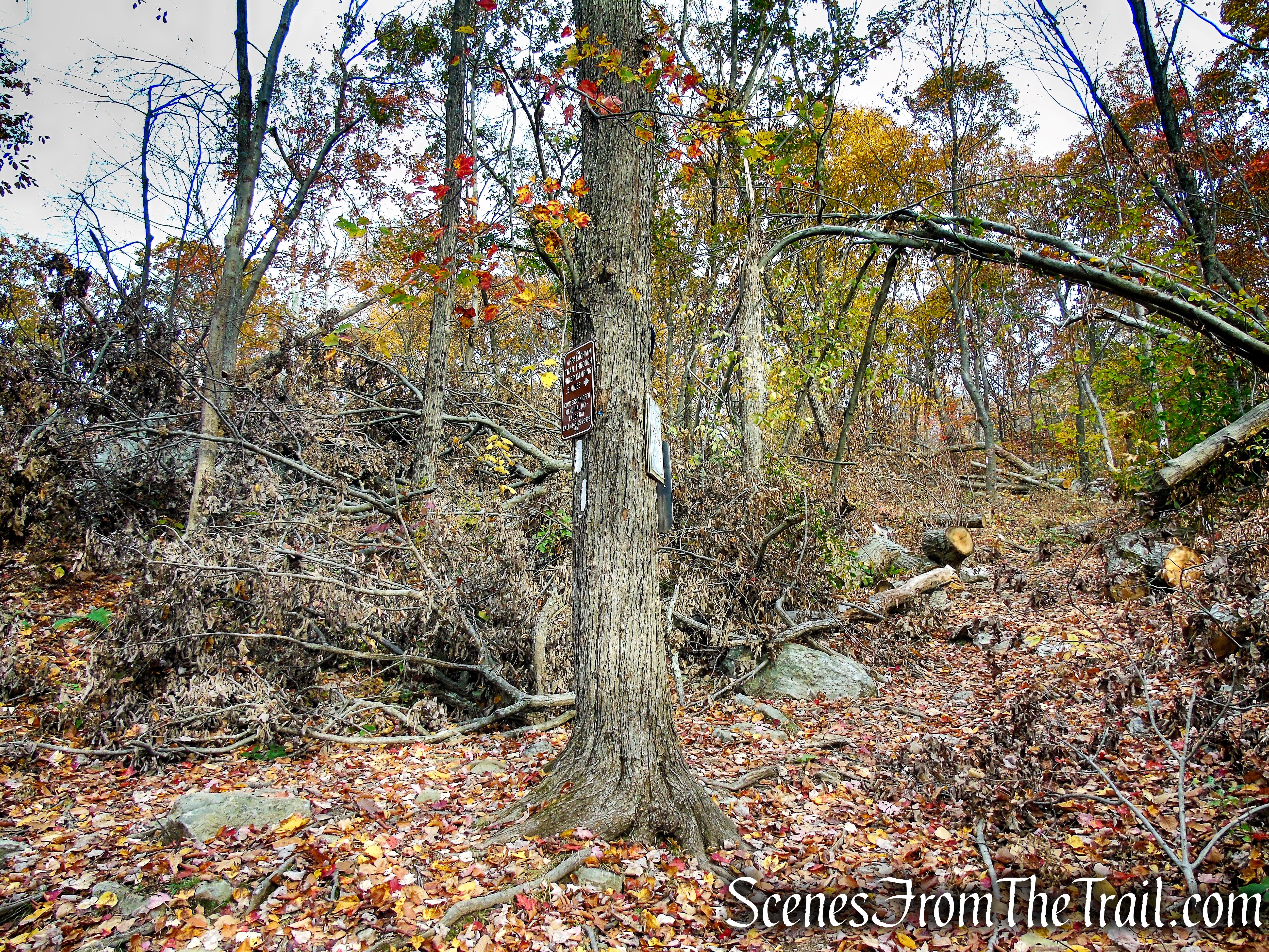 turn right on Appalachian Trail