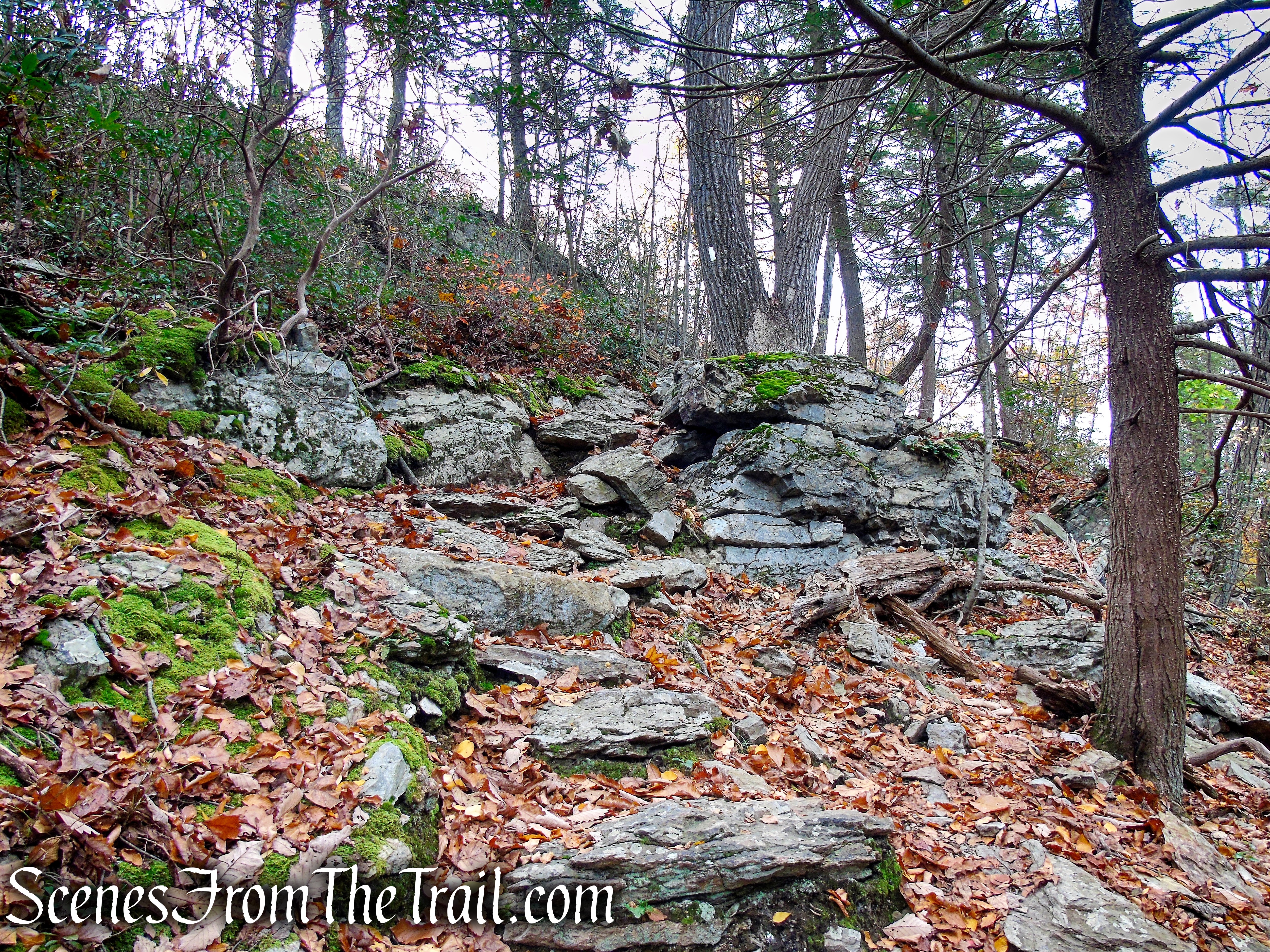 Appalachian Trail - Fahnestock State Park