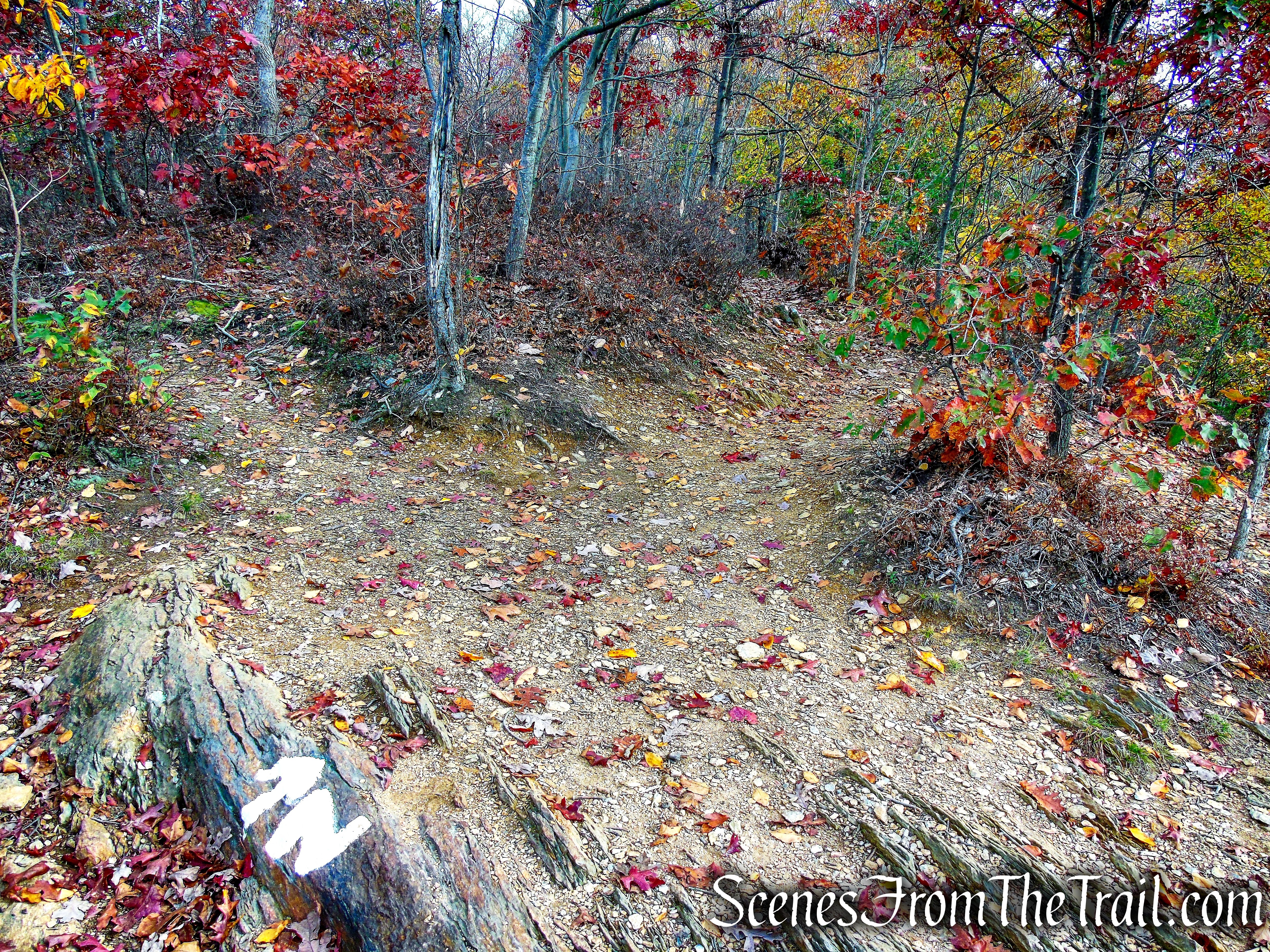Appalachian Trail - Fahnestock State Park