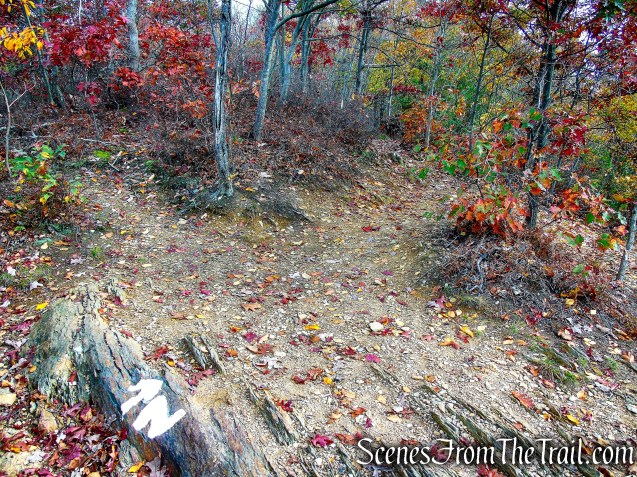 Appalachian Trail - Fahnestock State Park