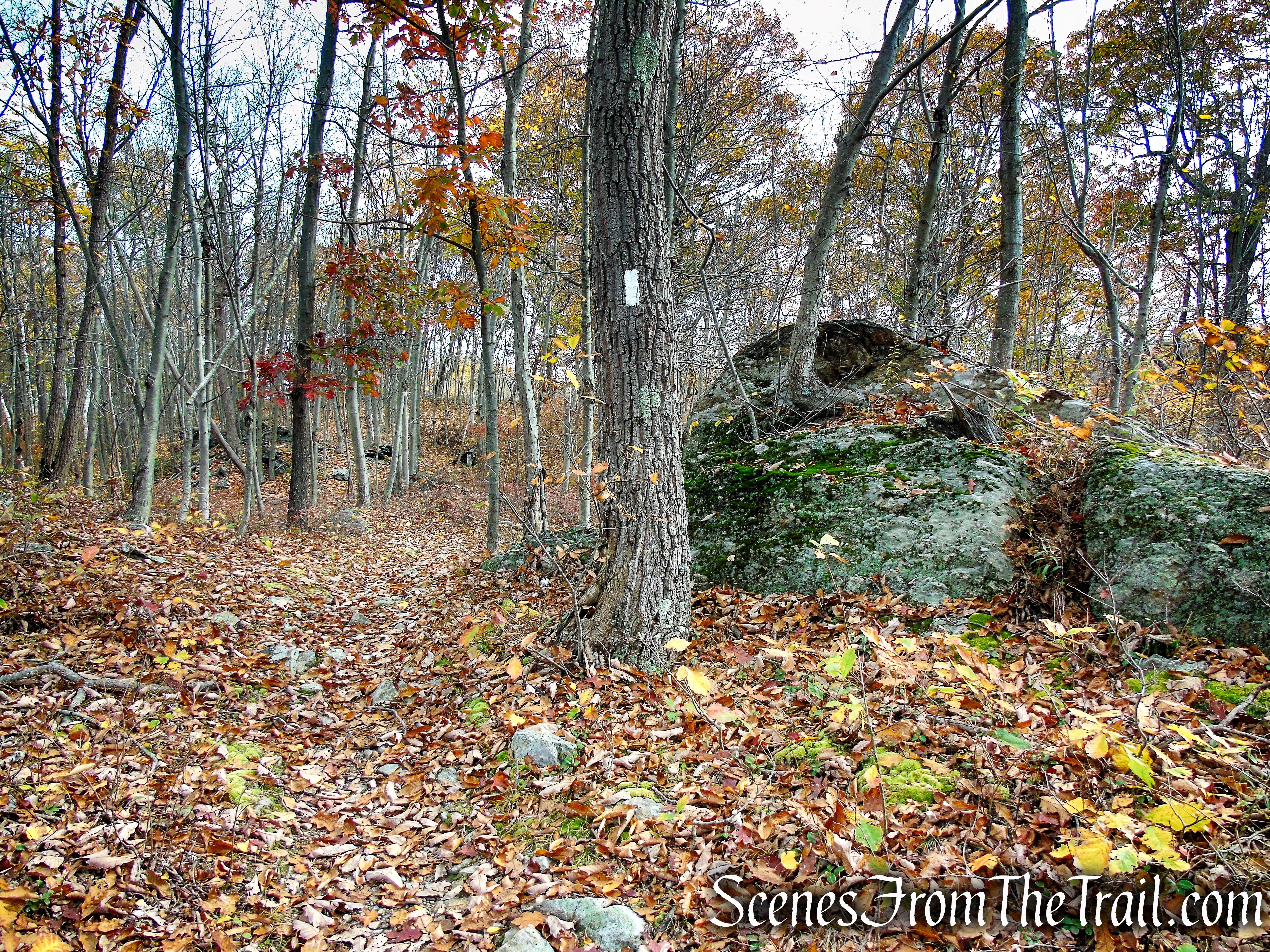 Appalachian Trail - Fahnestock State Park