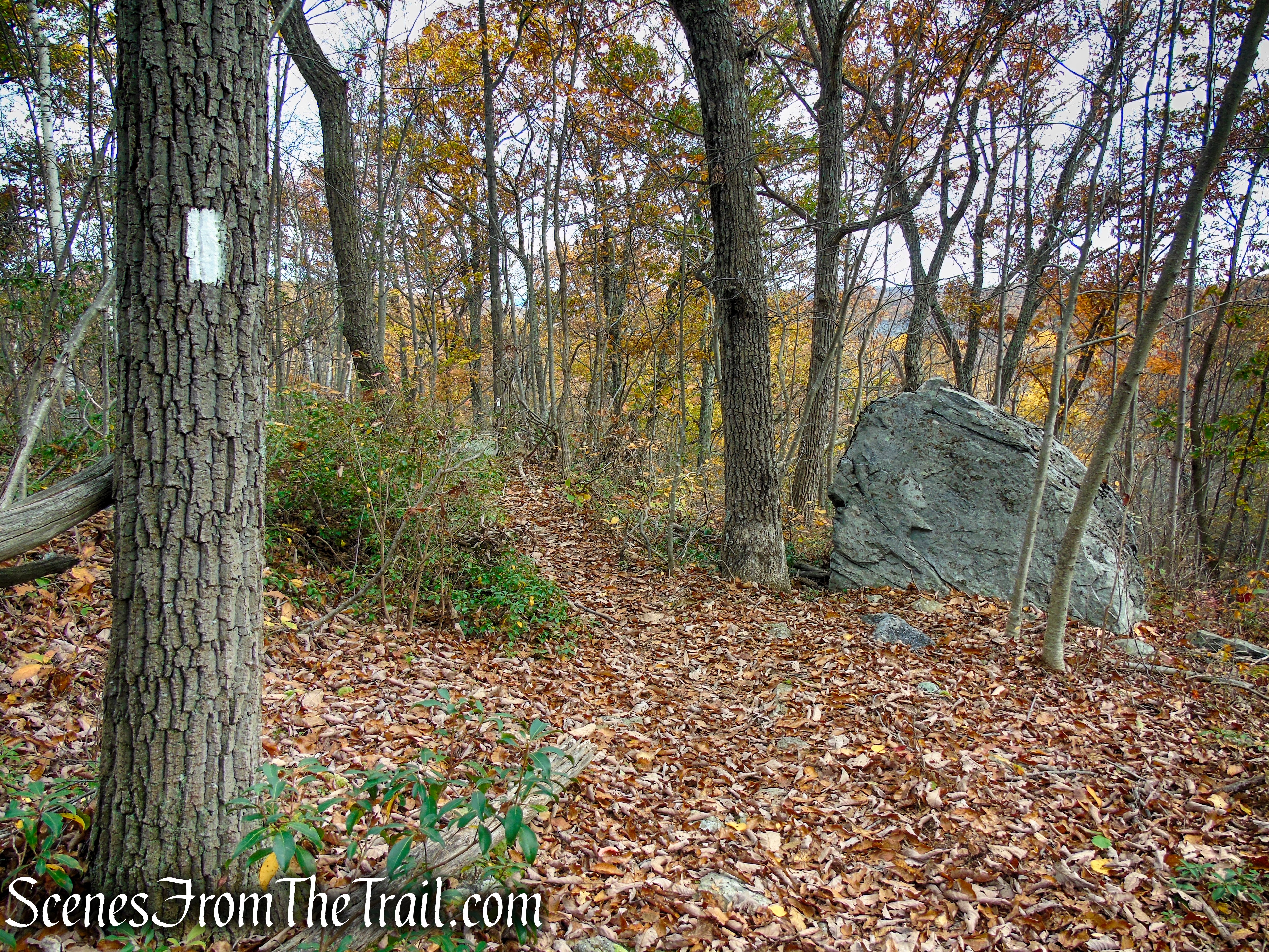 Appalachian Trail - Fahnestock State Park