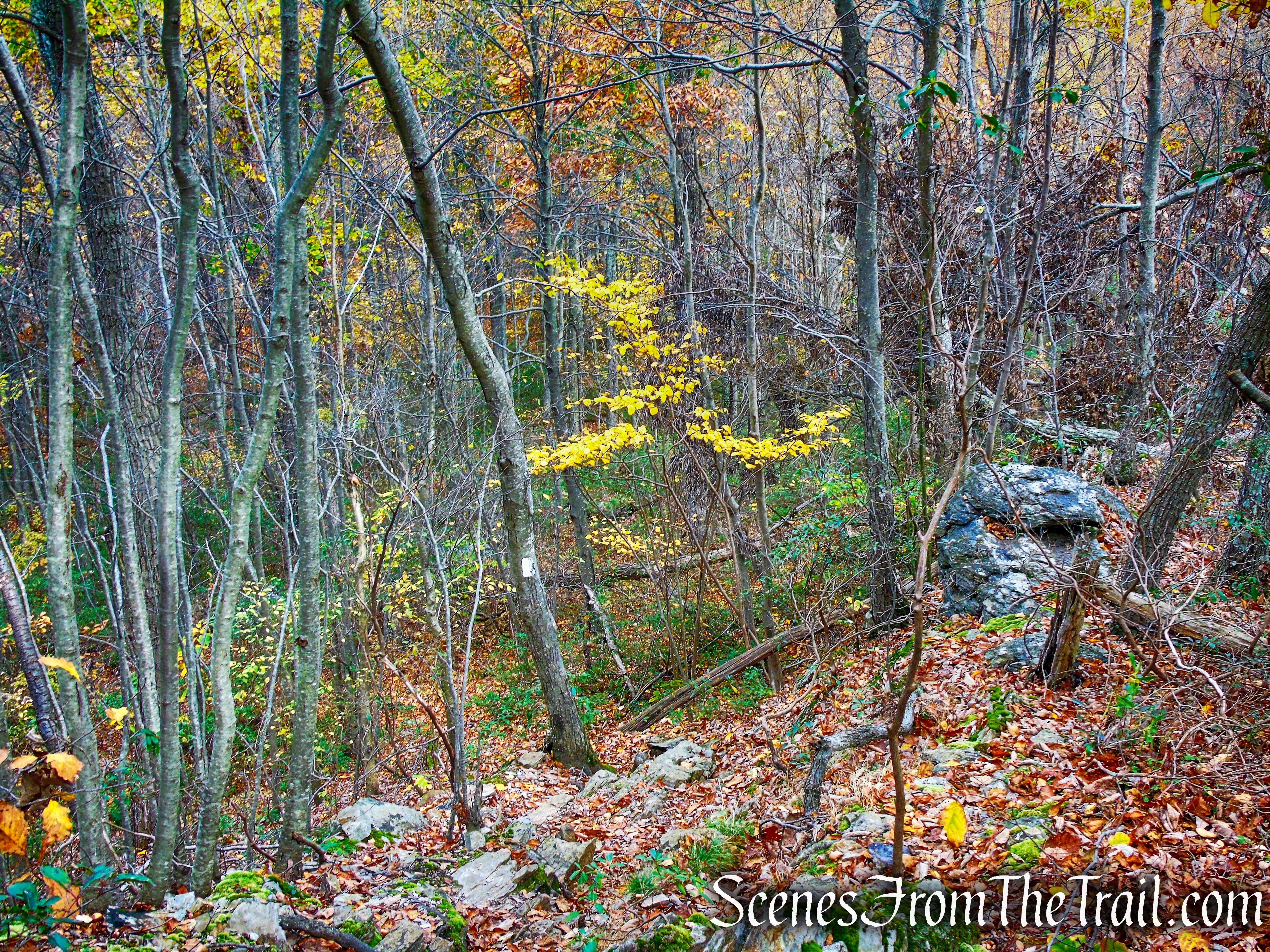 Appalachian Trail - Fahnestock State Park