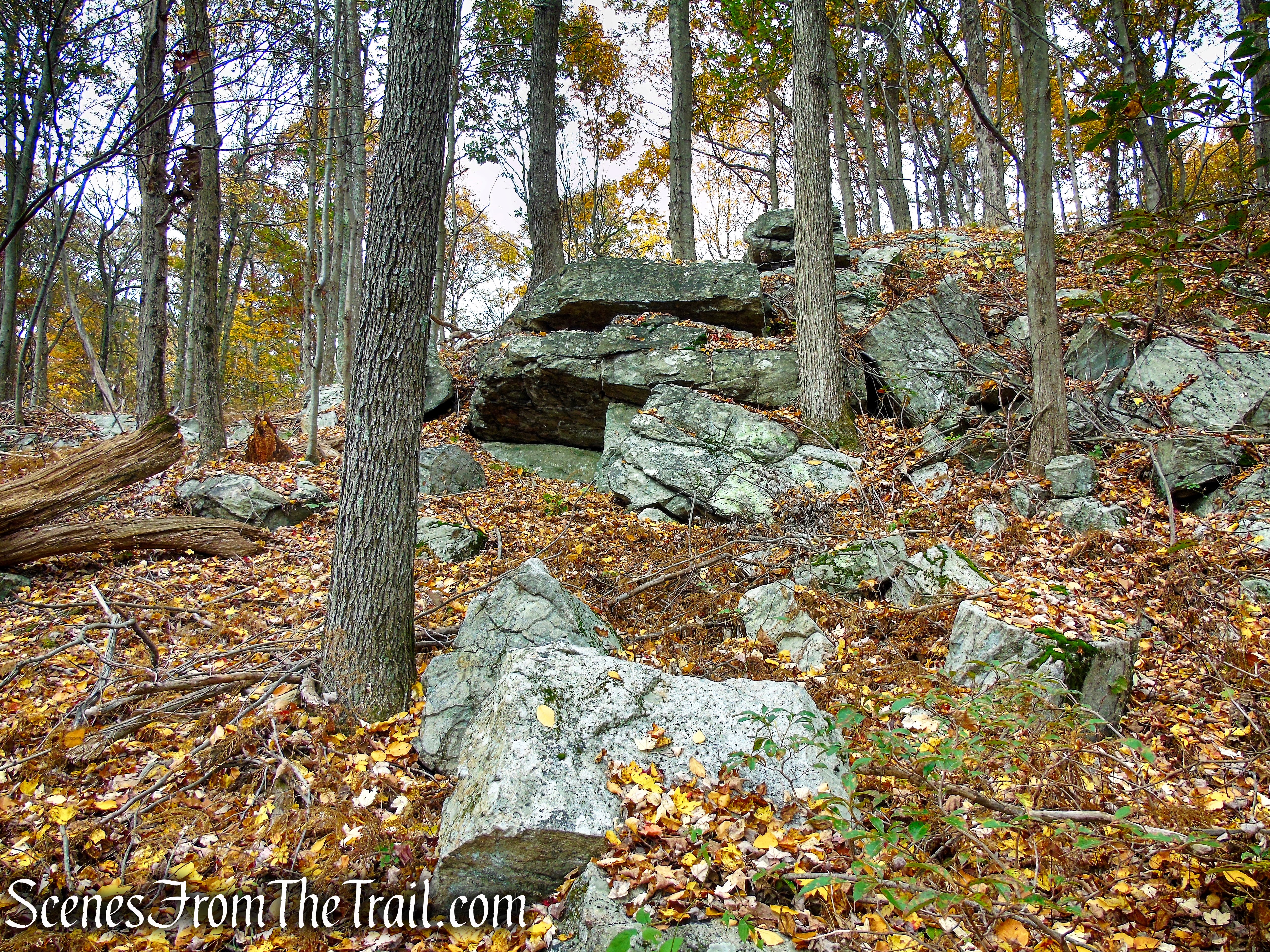 Appalachian Trail - Fahnestock State Park