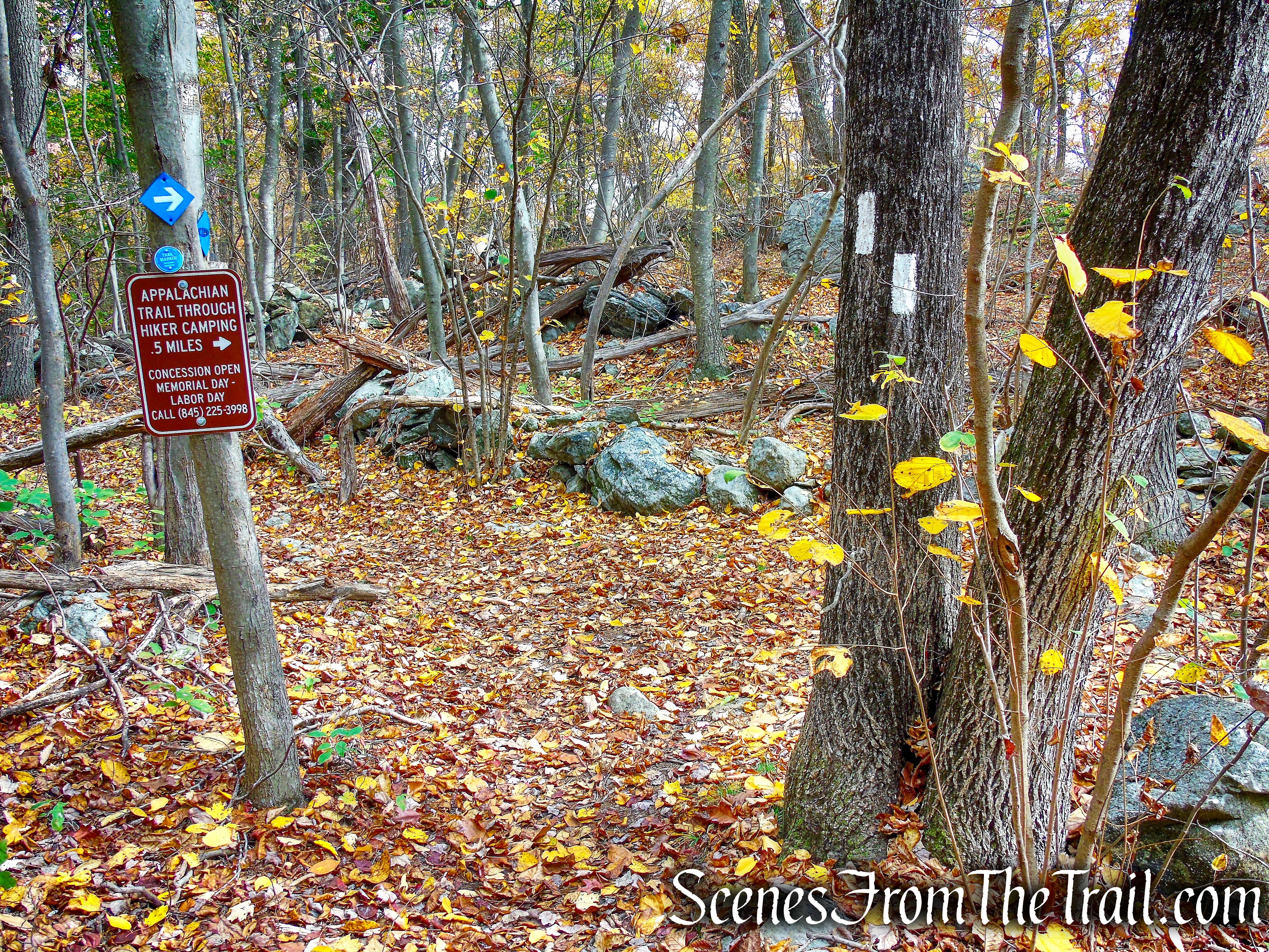 turn right on Blue Trail