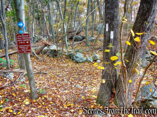 turn right on Blue Trail