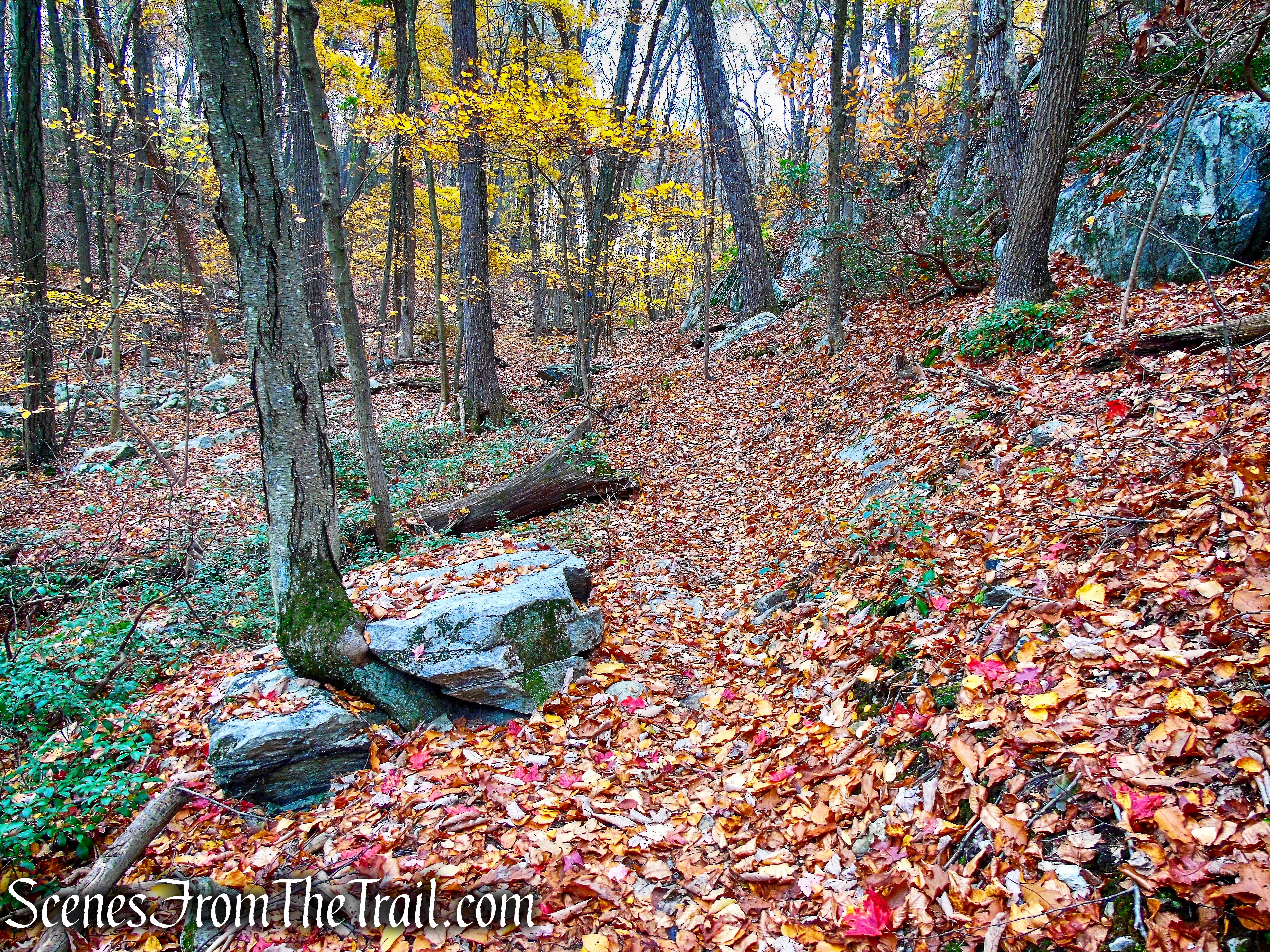 Appalachian Way - Fahnestock State Park