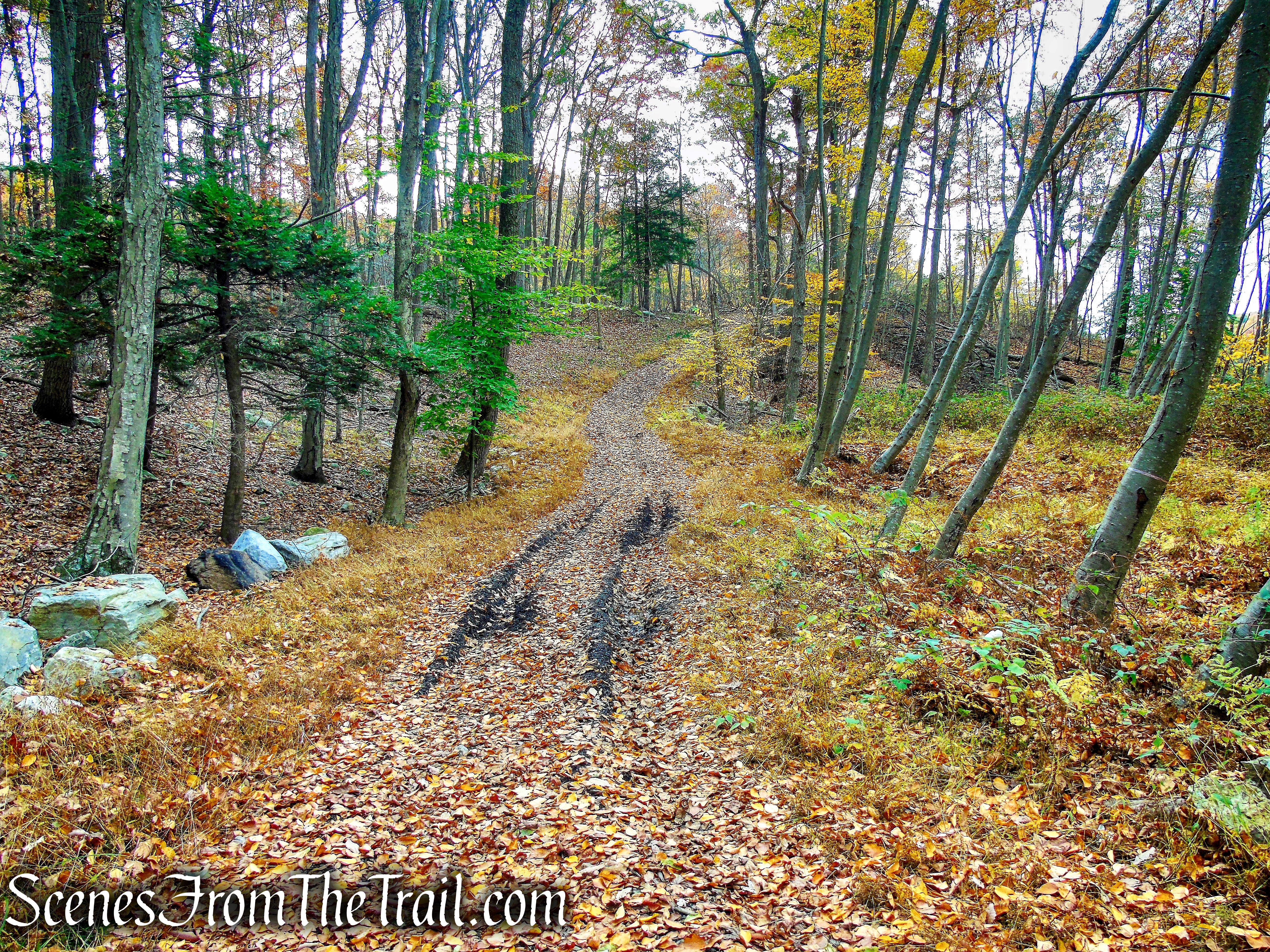 Appalachian Way - Fahnestock State Park