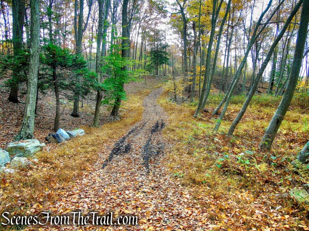 Appalachian Way - Fahnestock State Park