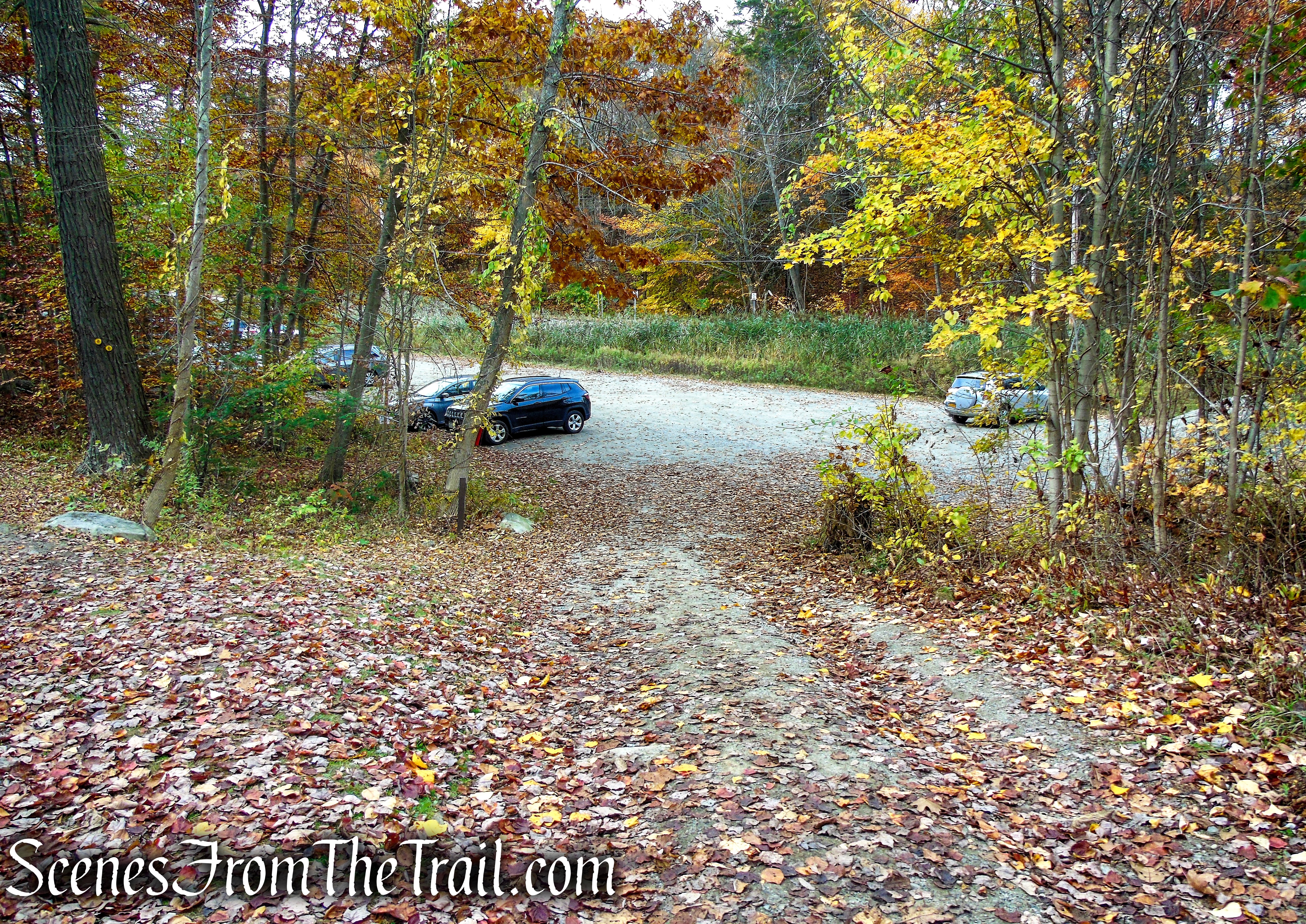 Pelton Pond Picnic Area