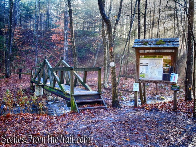 wooden footbridge over Bee Brook
