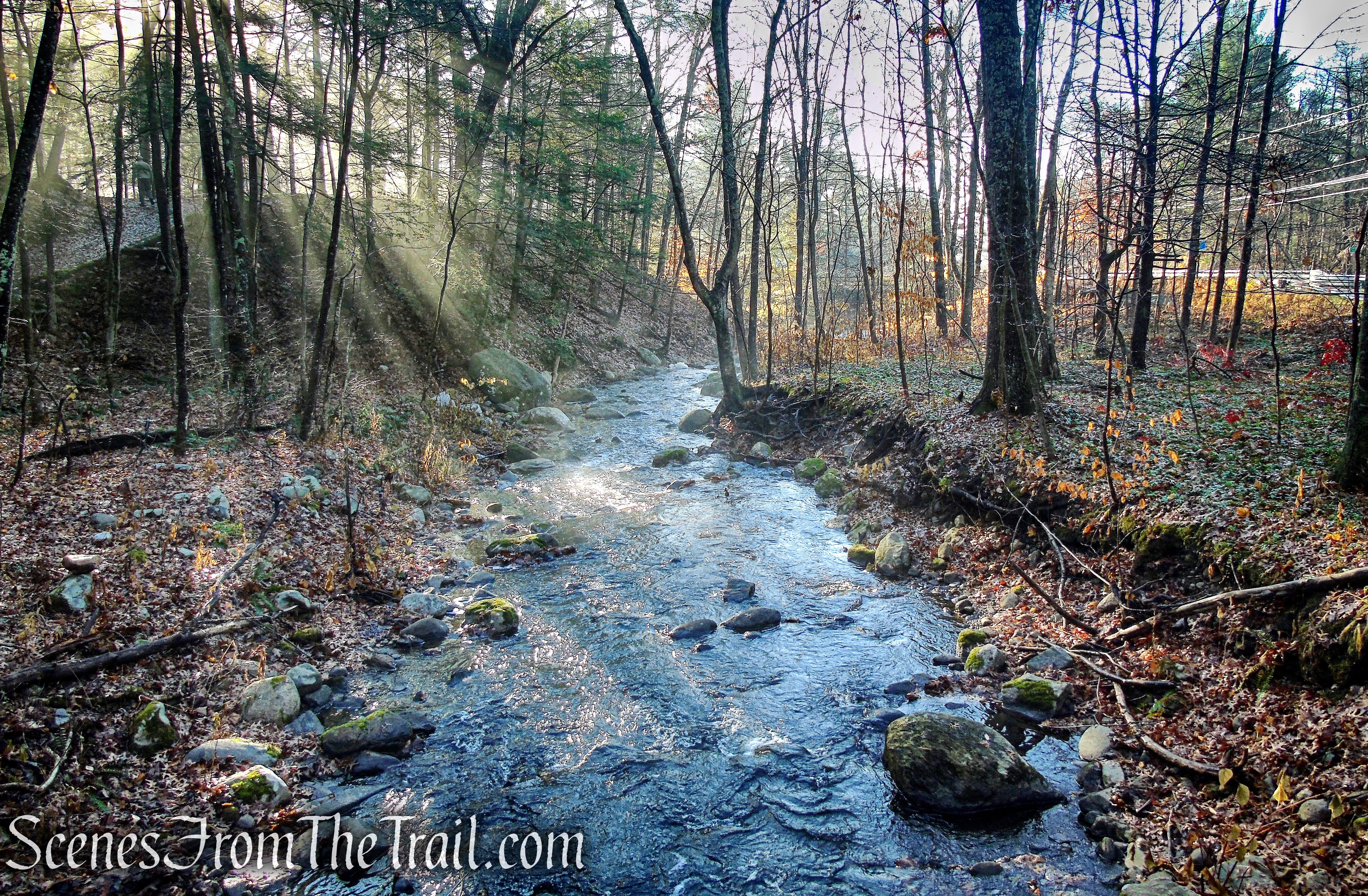 Bee Brook - Hidden Valley Preserve