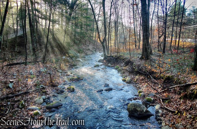 Bee Brook - Hidden Valley Preserve