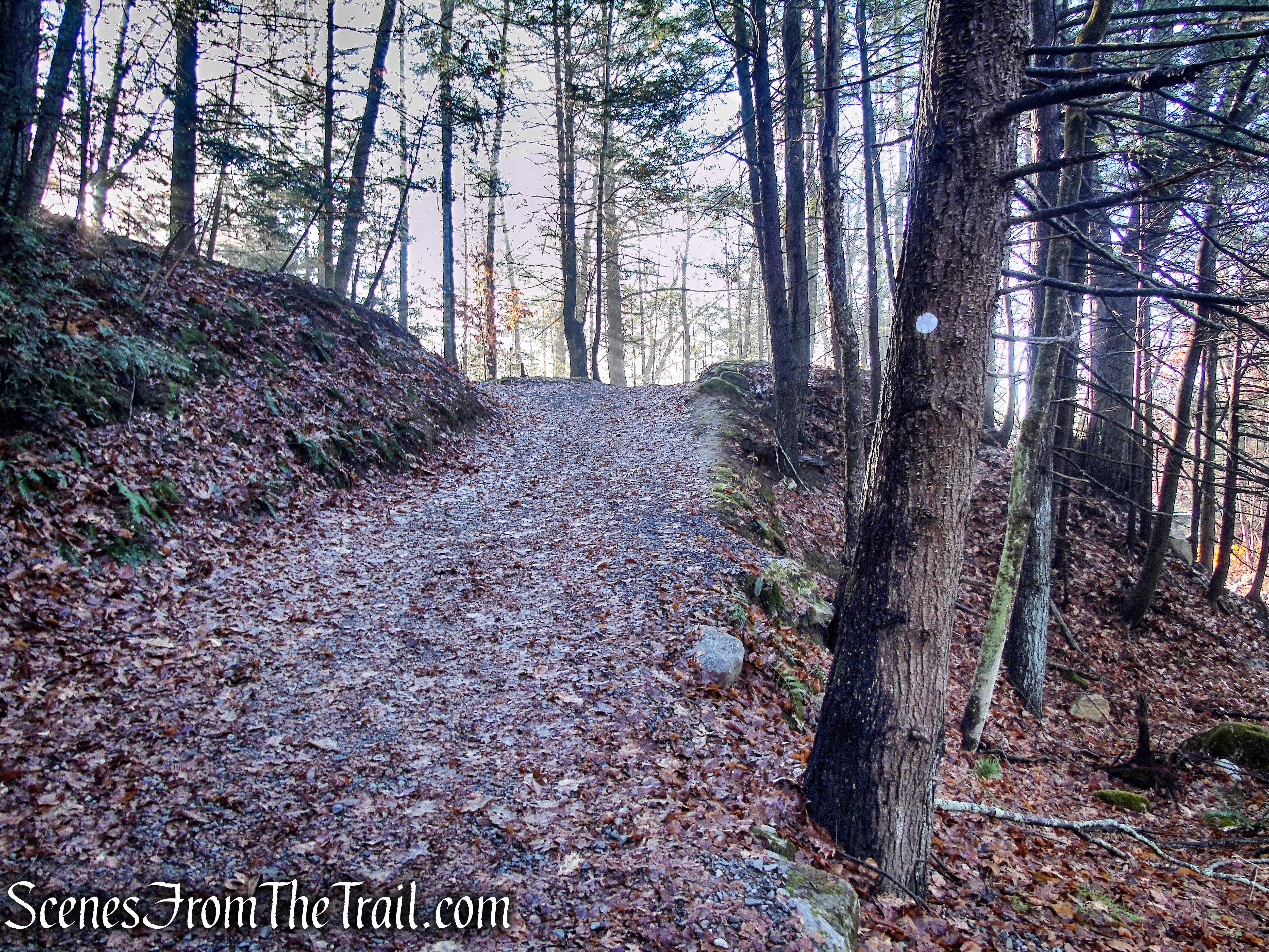 Bee Brook Loop - Hidden Valley Preserve