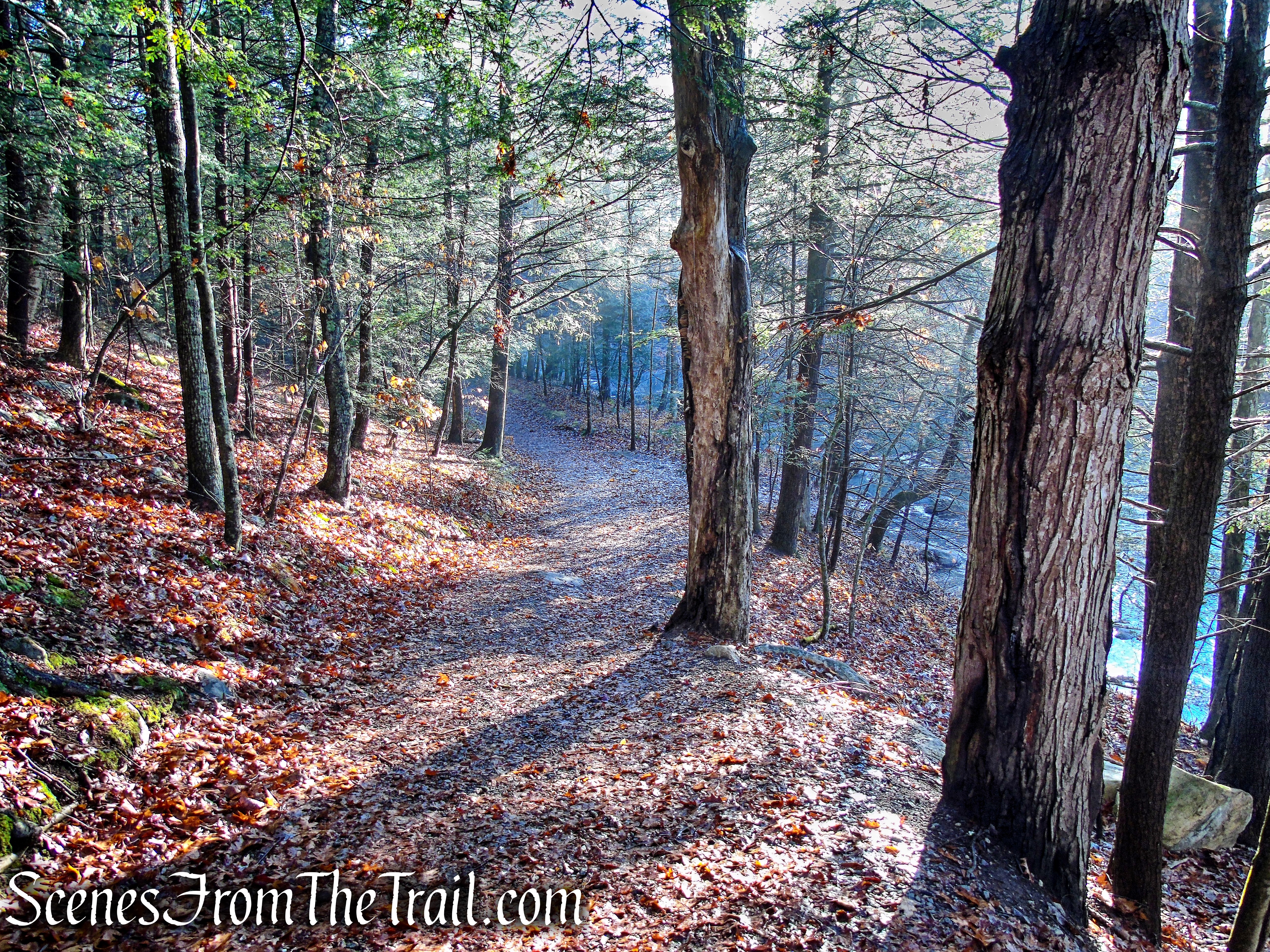 Bee Brook Loop - Hidden Valley Preserve