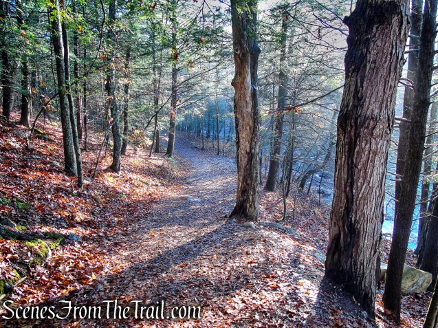 Bee Brook Loop - Hidden Valley Preserve