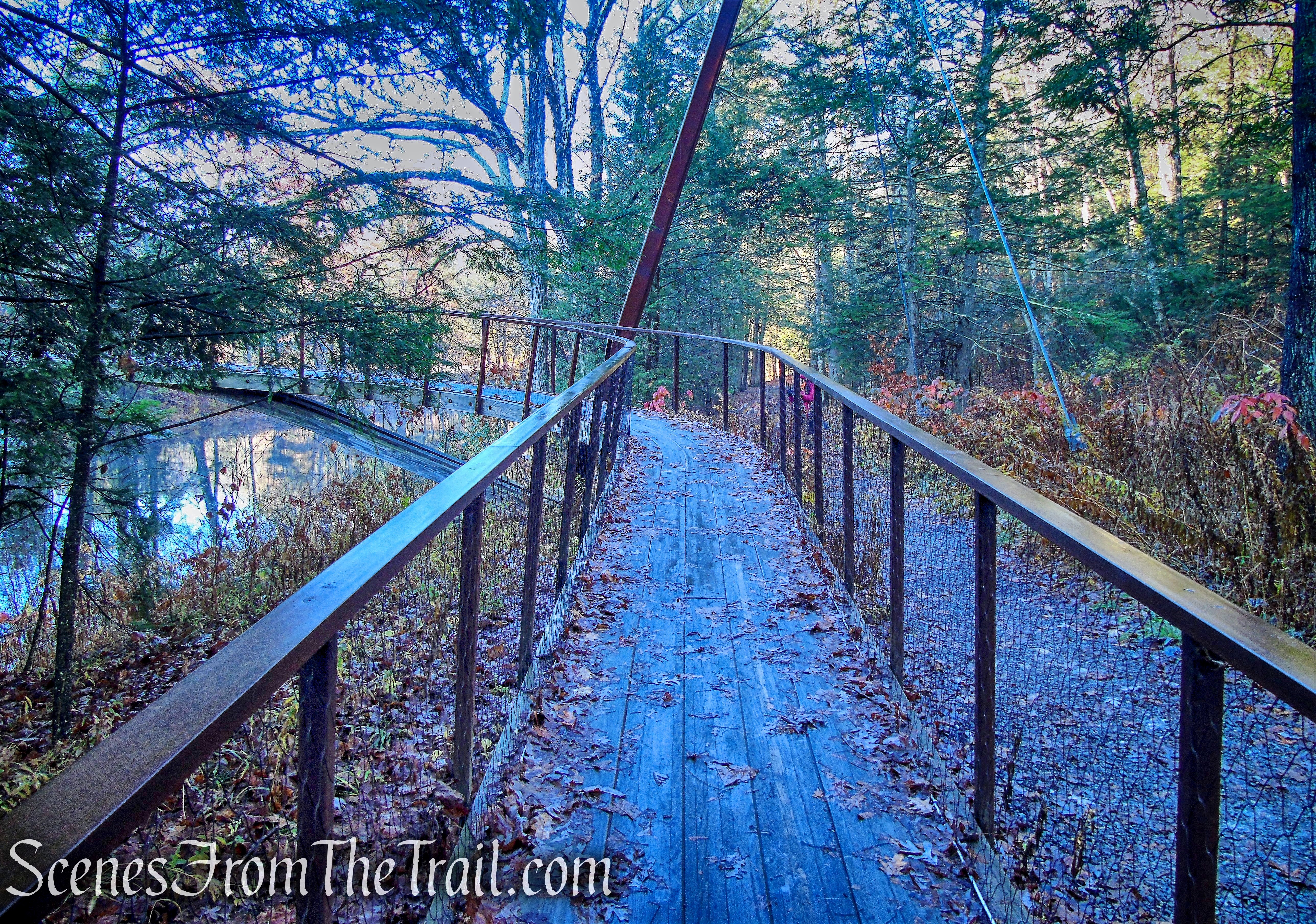 Thoreau Footbridge - Hidden Valley Preserve