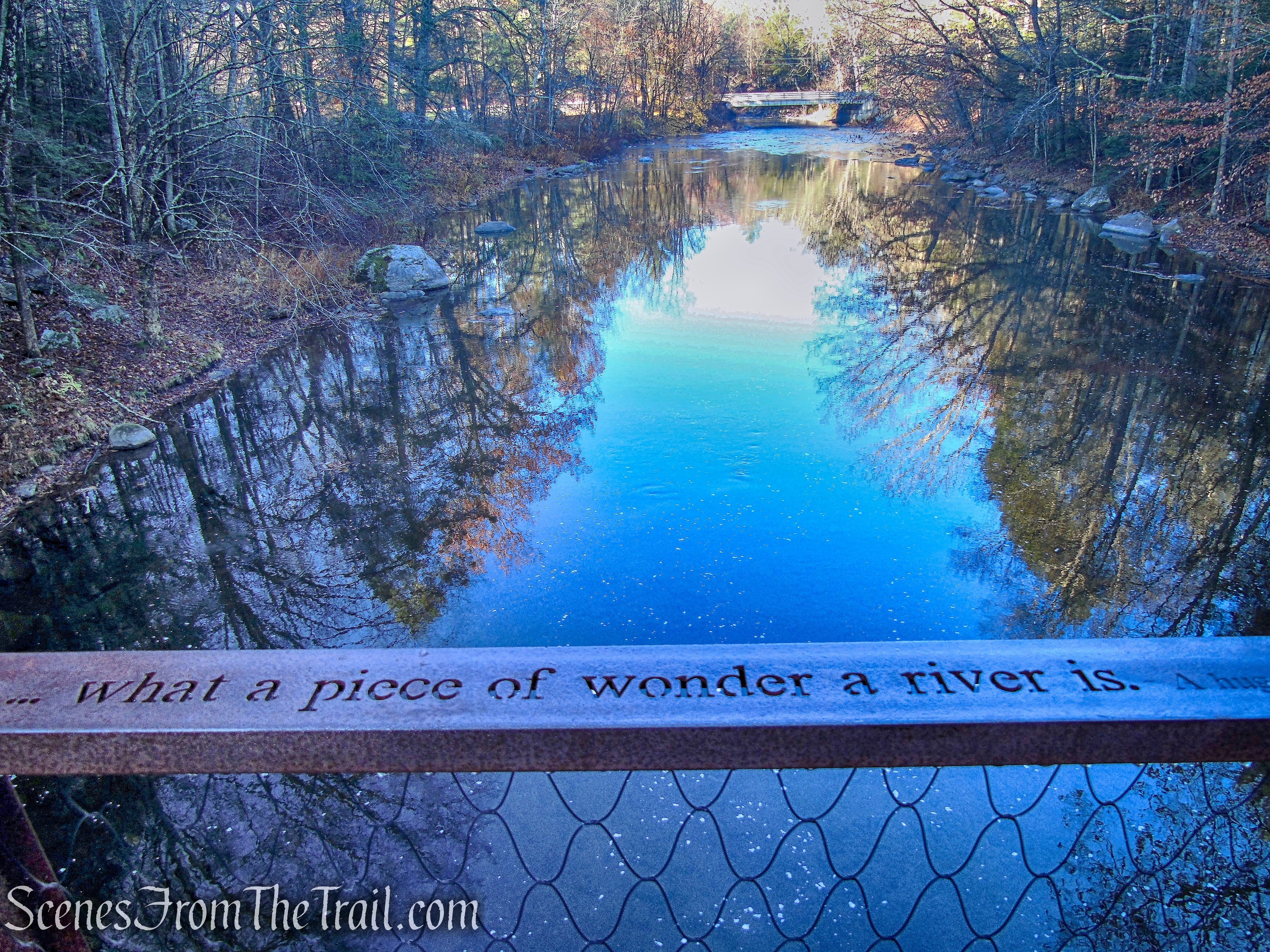 Thoreau Footbridge - Hidden Valley Preserve