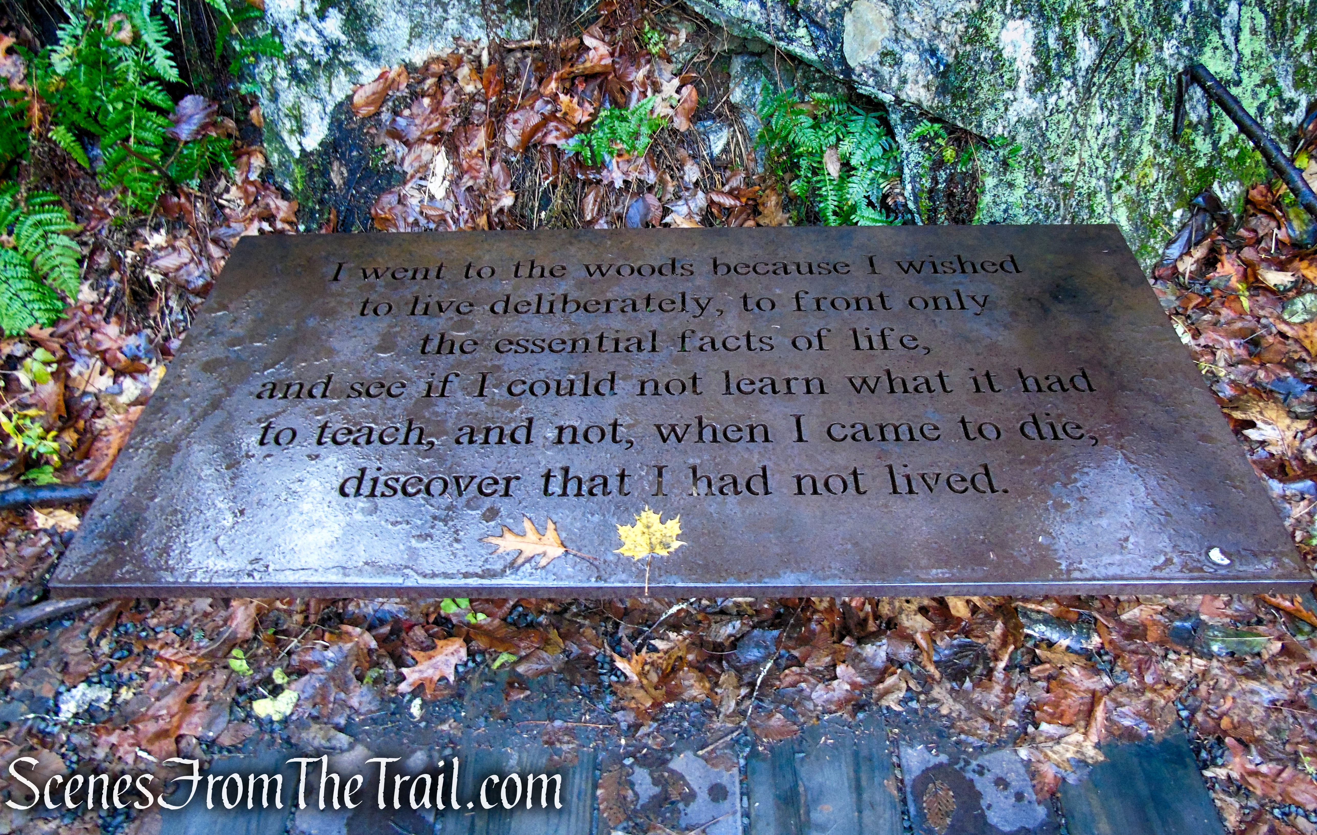 bench on the eastern end of the Thoreau Bridge