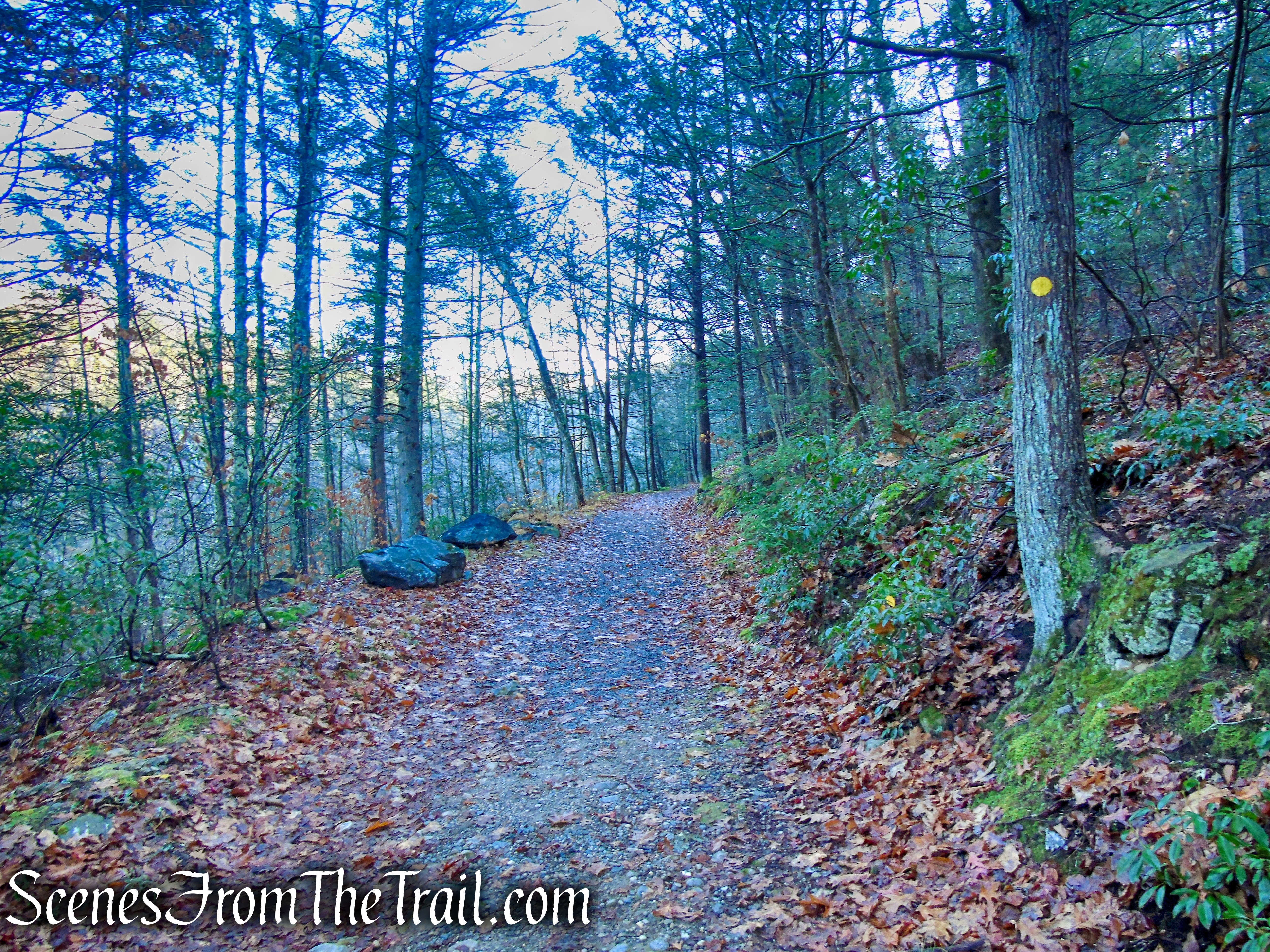 Van Sinderen Loop Trail - Hidden Valley Preserve