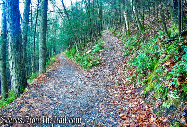 bear right at the fork