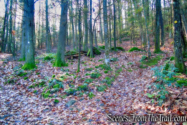 bear right at the fork