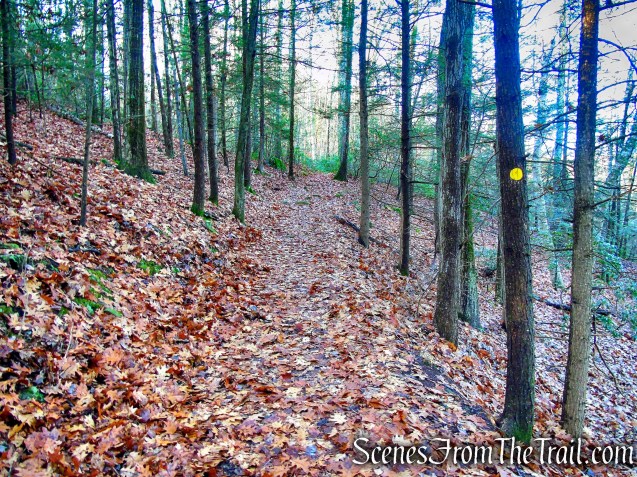 Van Sinderen Loop Trail - Hidden Valley Preserve