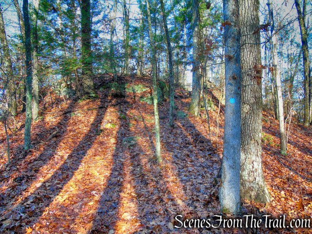 turn right on Pinnacle Trail - Hidden Valley Preserve