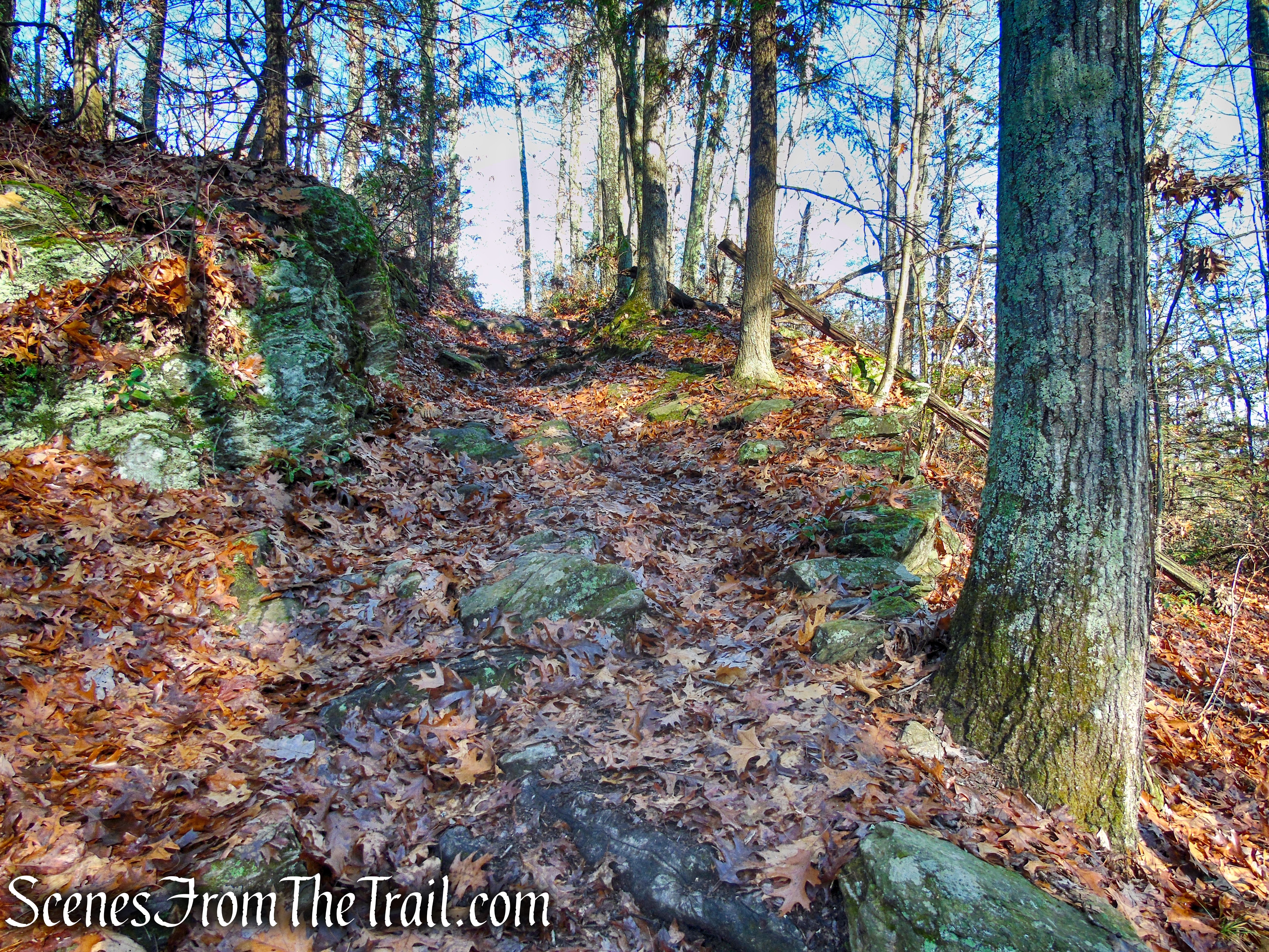 Pinnacle Trail - Hidden Valley Preserve