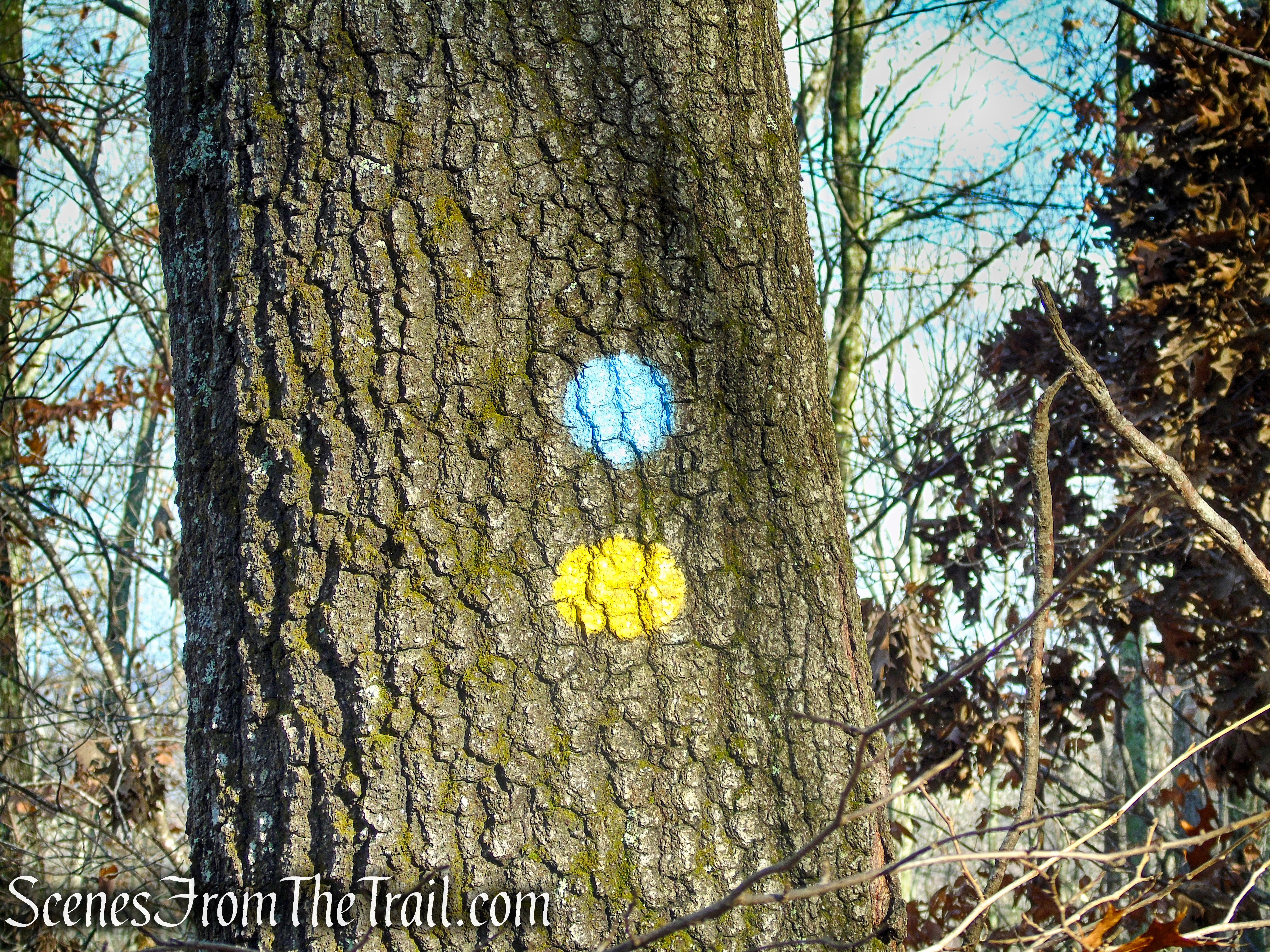 Van Sinderen Loop Trail - Hidden Valley Preserve