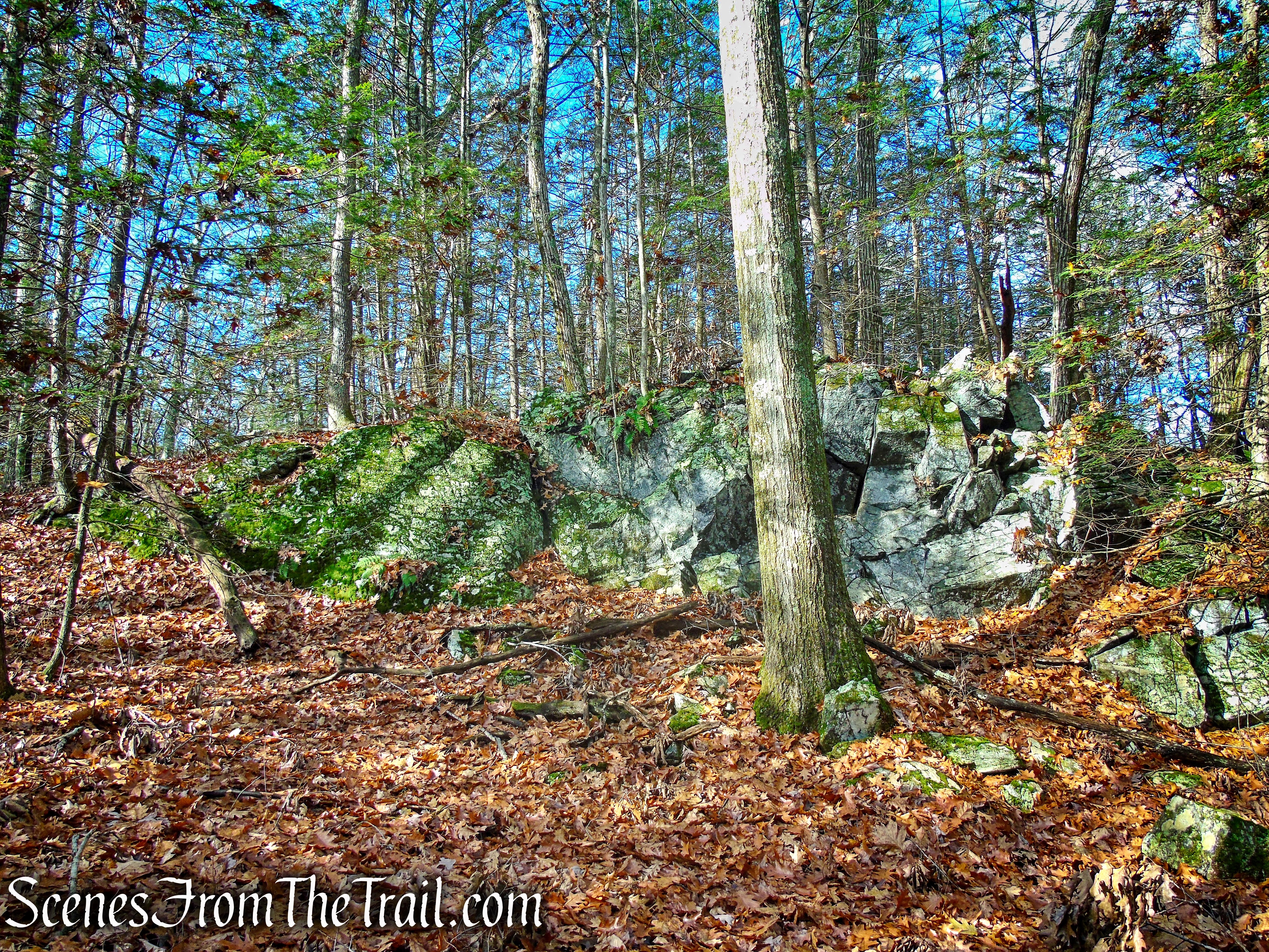 Van Sinderen Loop Trail - Hidden Valley Preserve
