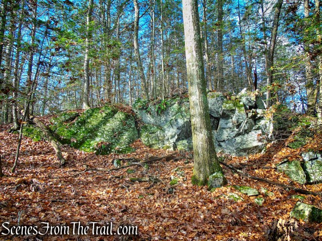 Van Sinderen Loop Trail - Hidden Valley Preserve