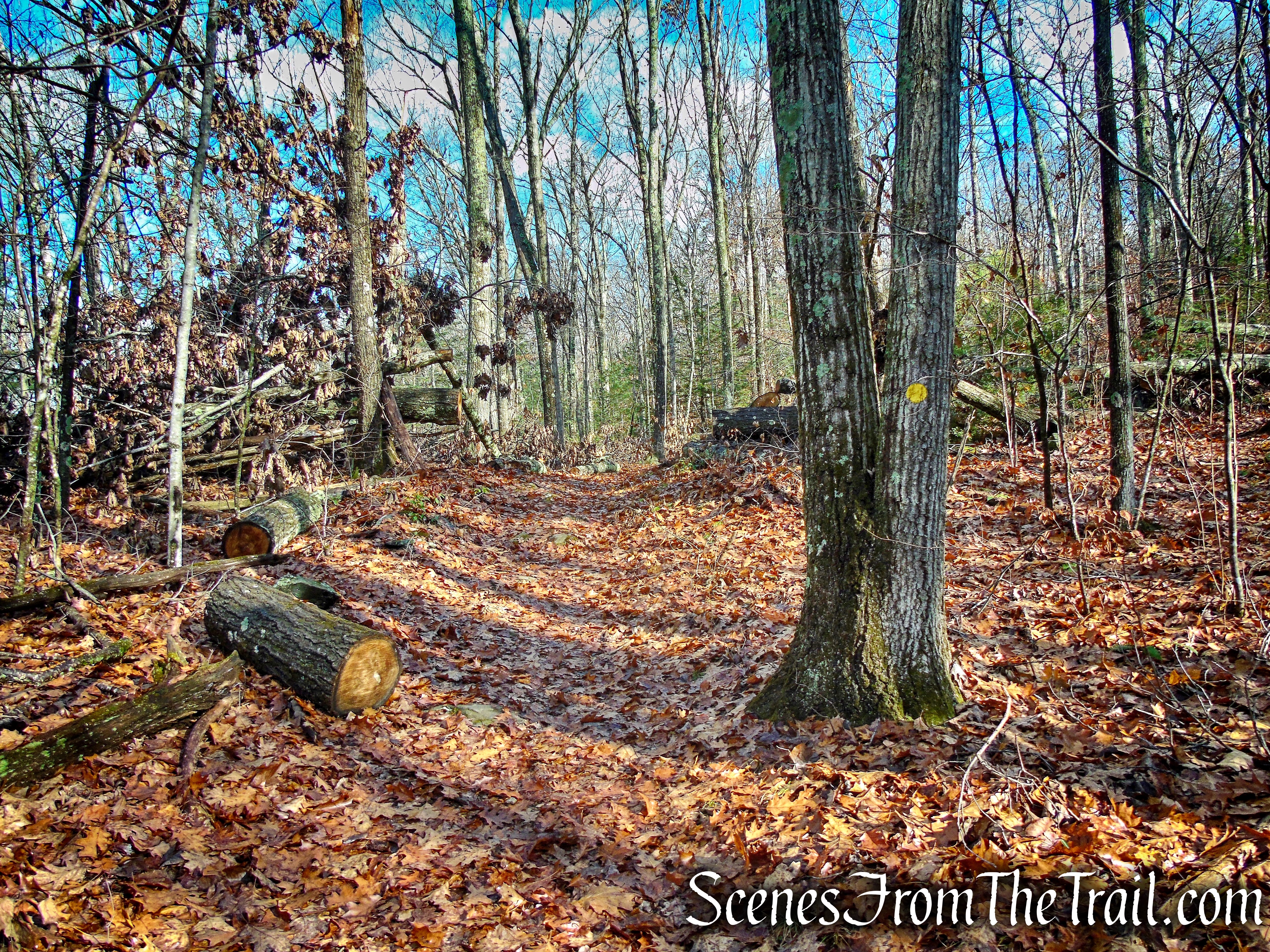 Van Sinderen Loop Trail - Hidden Valley Preserve