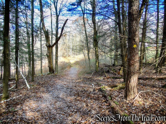 Van Sinderen Loop Trail - Hidden Valley Preserve