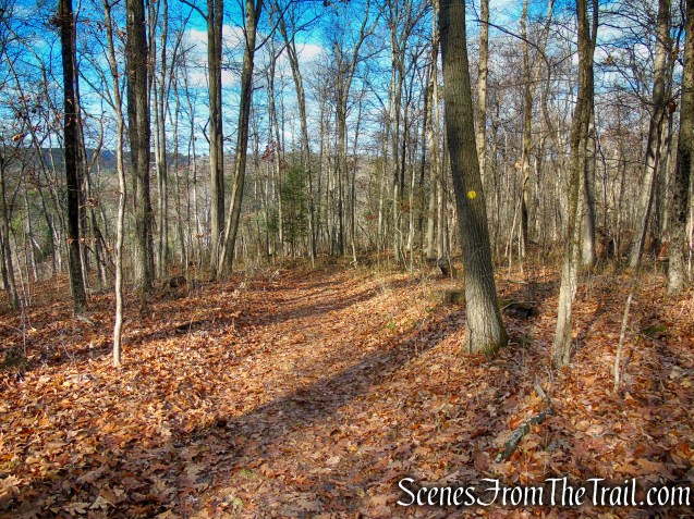 Van Sinderen Loop Trail - Hidden Valley Preserve