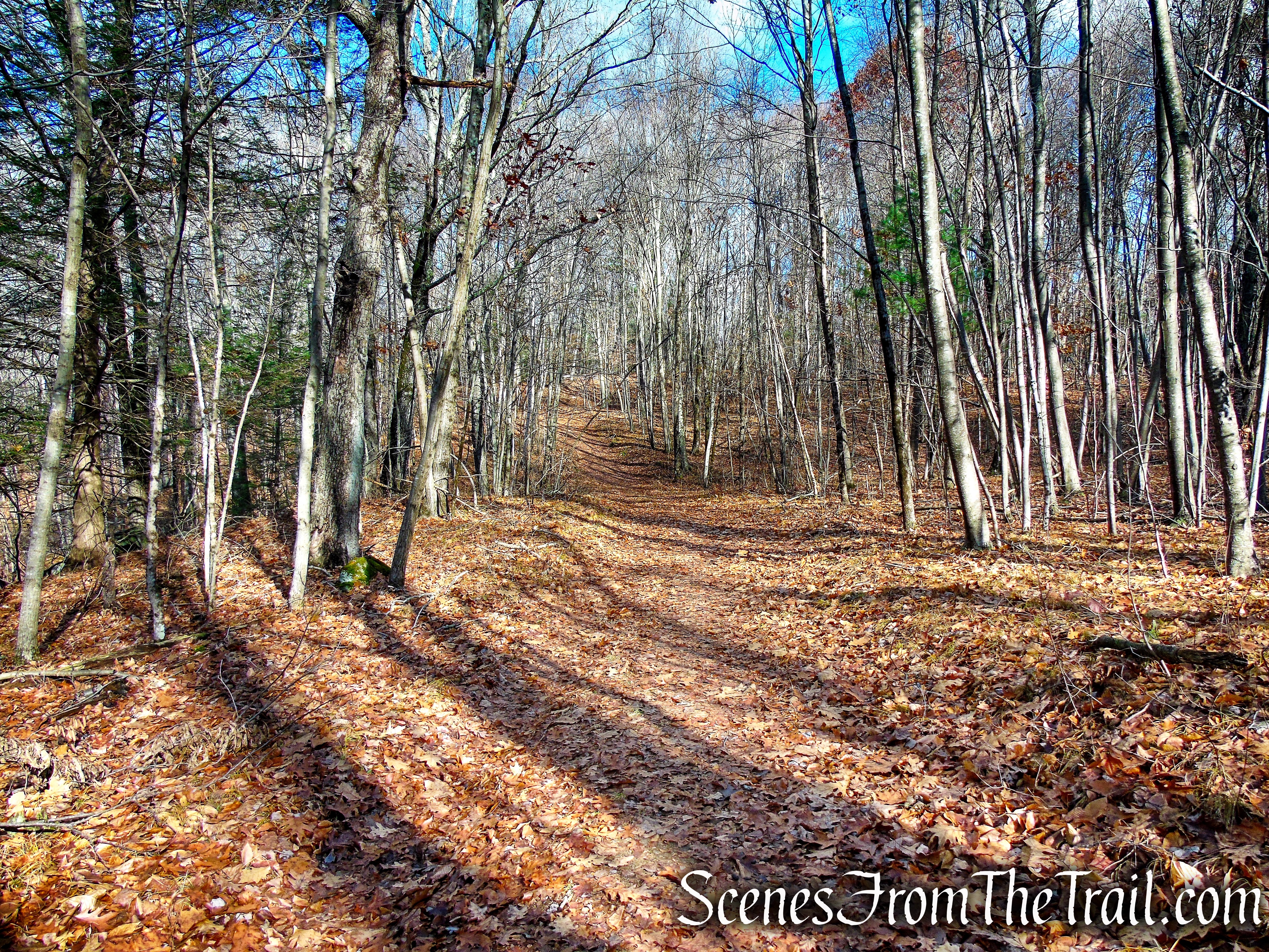 Van Sinderen Loop Trail - Hidden Valley Preserve