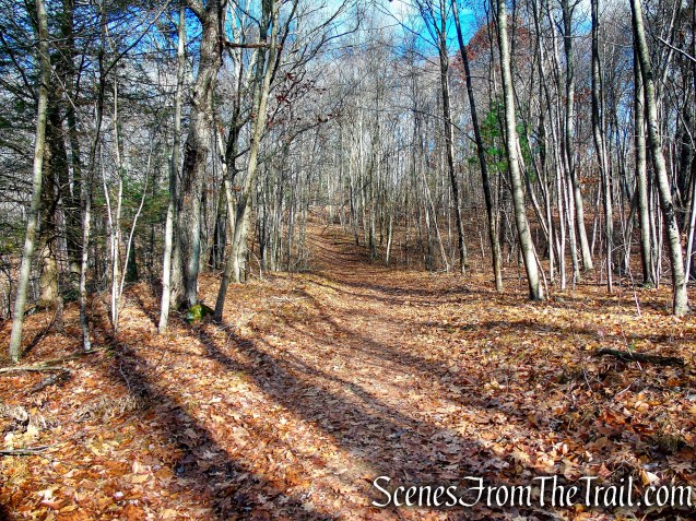 Van Sinderen Loop Trail - Hidden Valley Preserve